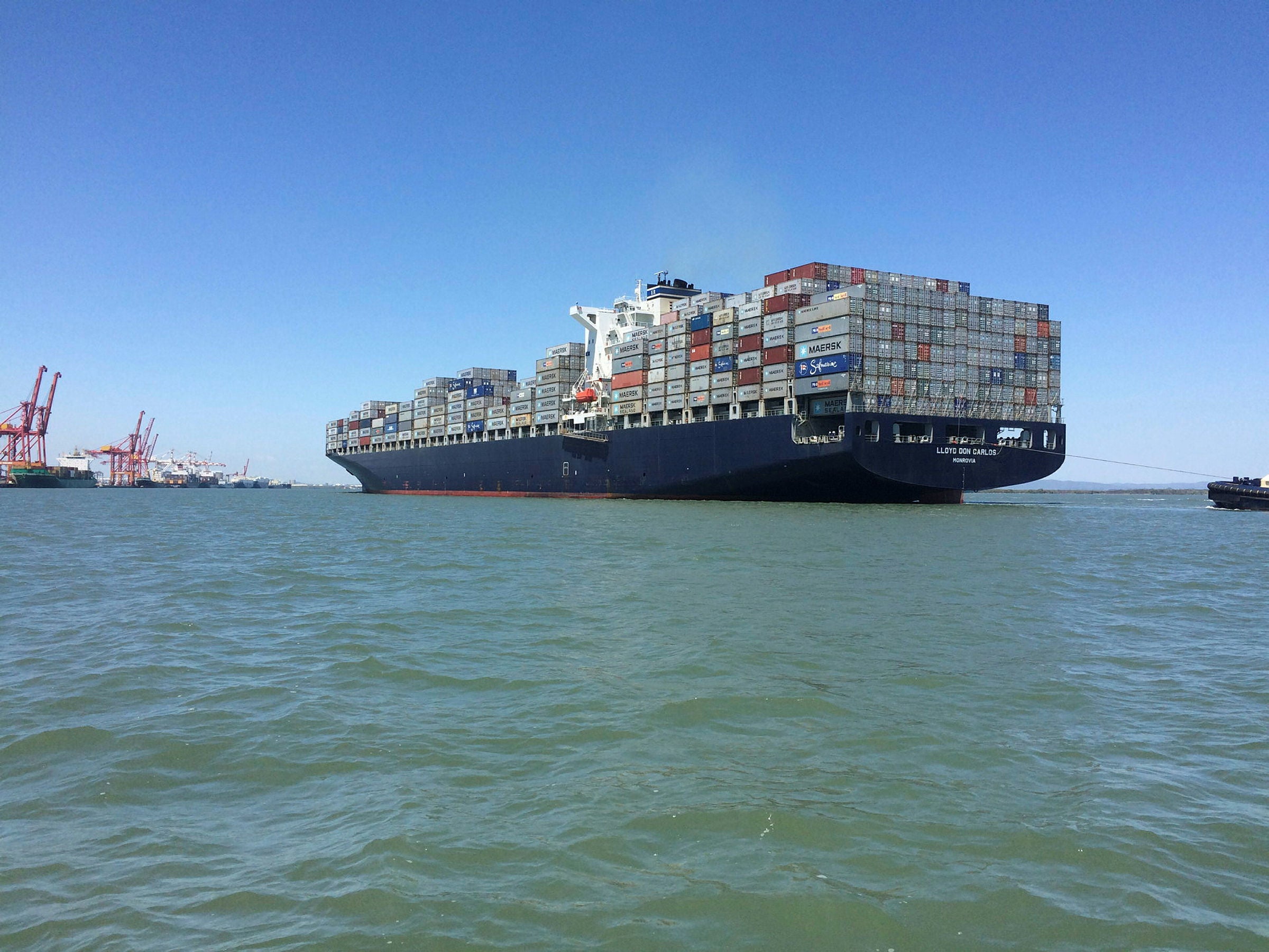 MC-Seamax rides strong boxship recovery as rates keep climbing