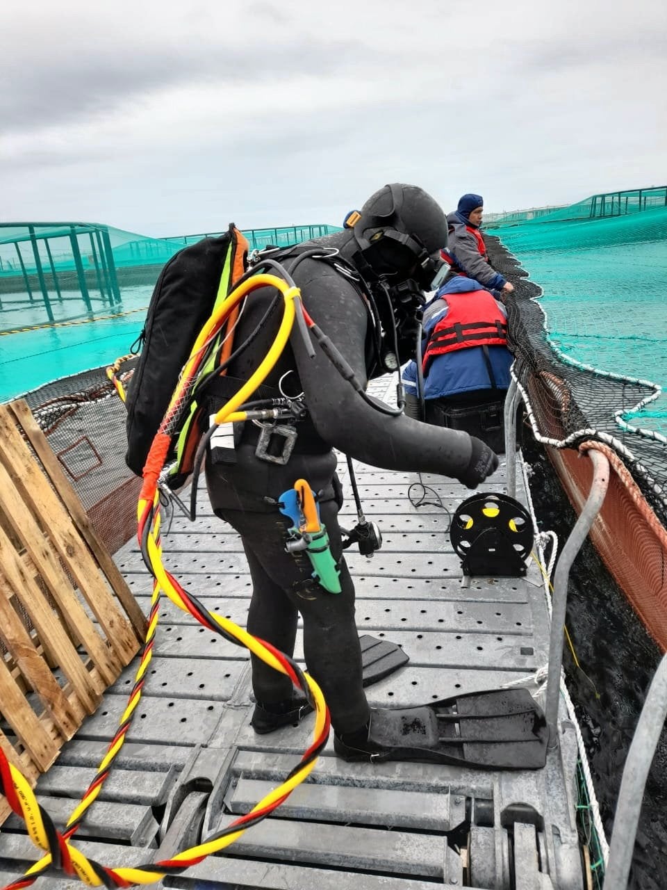 Salmon industry moves to strengthen safety after diver deaths