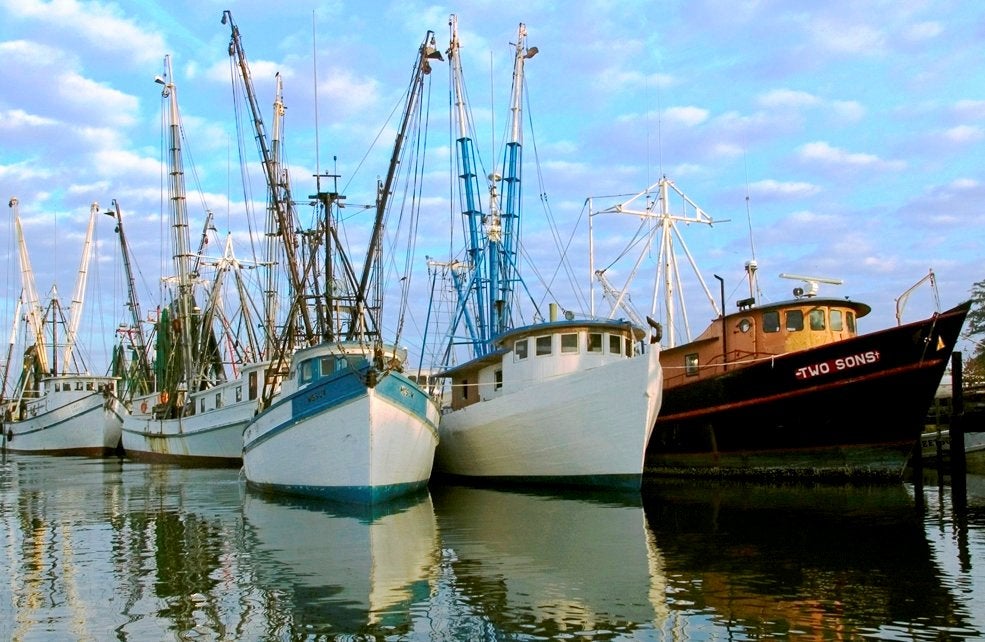 USDA moves to add wild shrimp to emergency food aid program