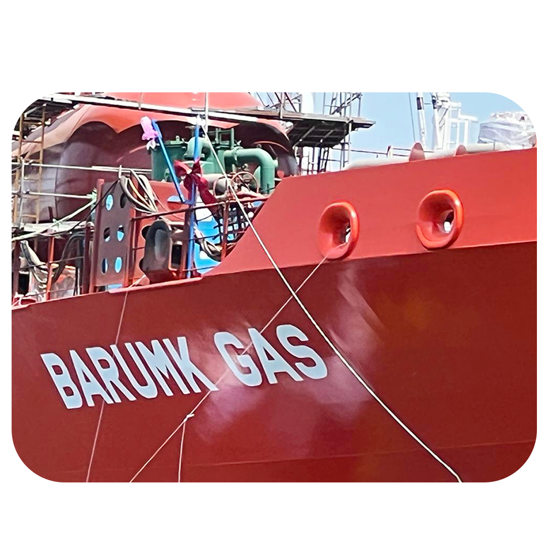 Dubai energy giant strikes VLGC order debut and mulls LNG carrier fleet