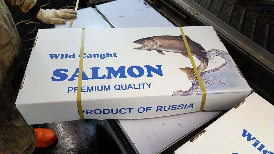 Russian wild salmon season drags to close with record low catches