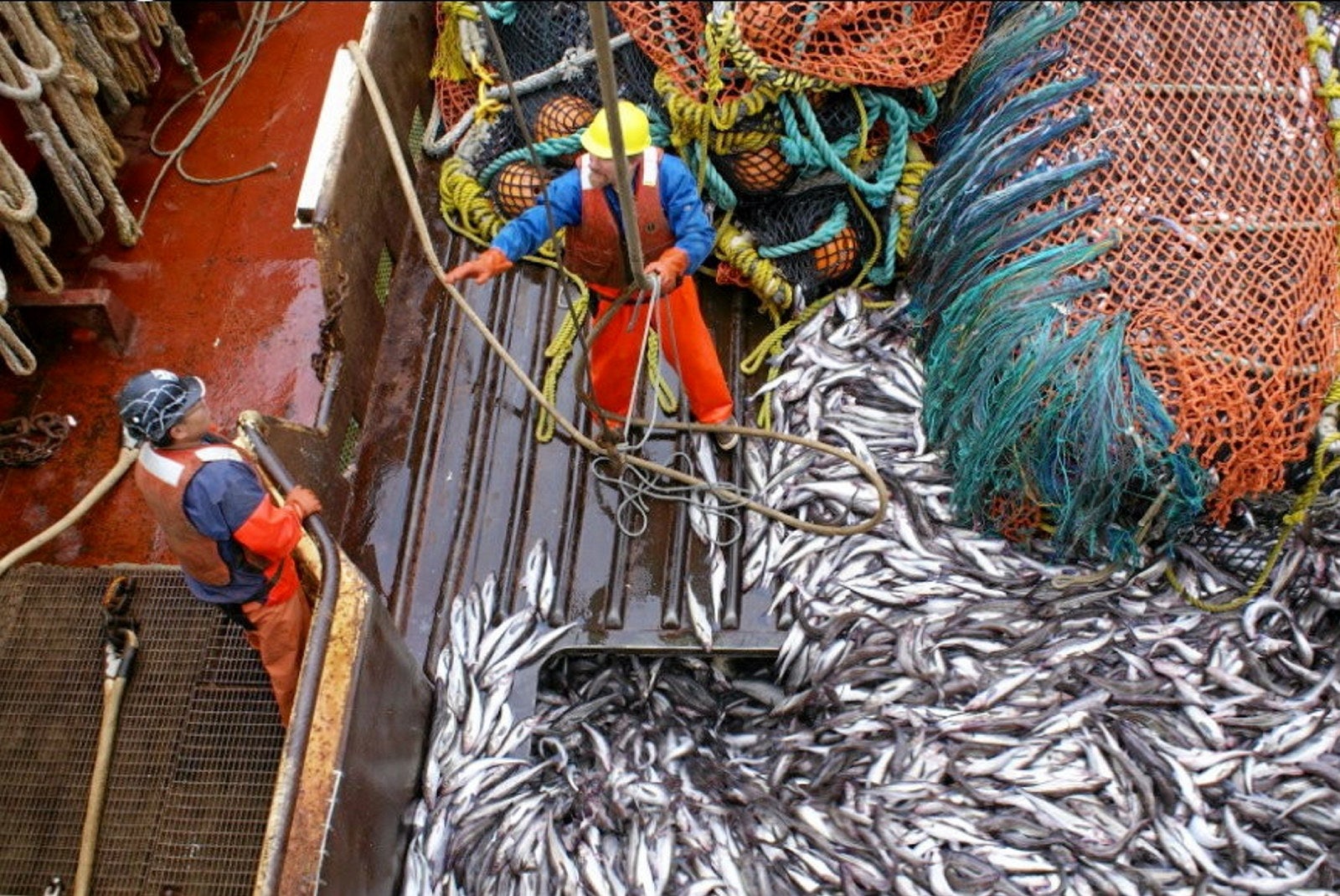 'There is a giant piece of missing info': Pollock industry plays ...