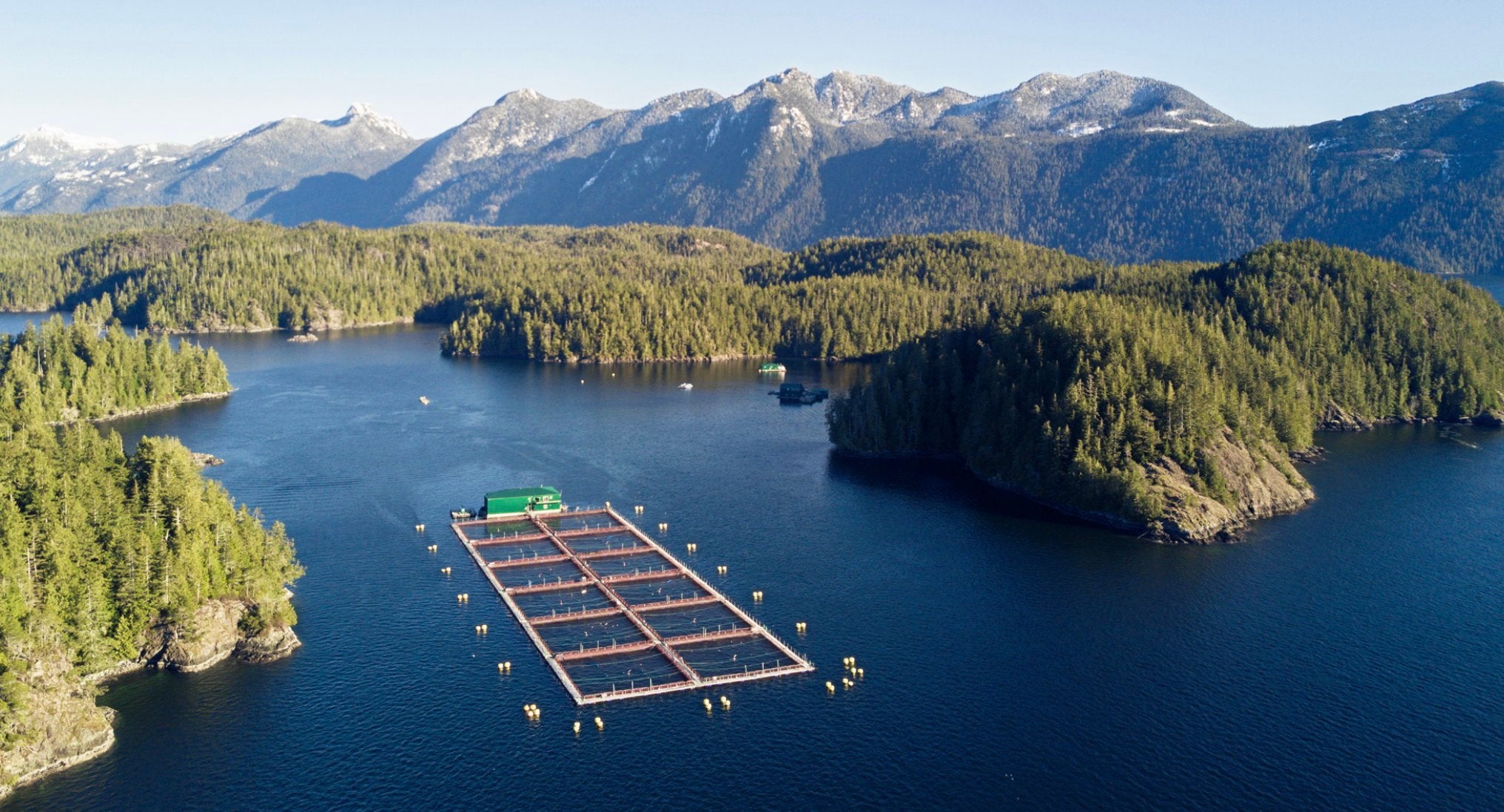Cermaq to consolidate Canada salmon operations