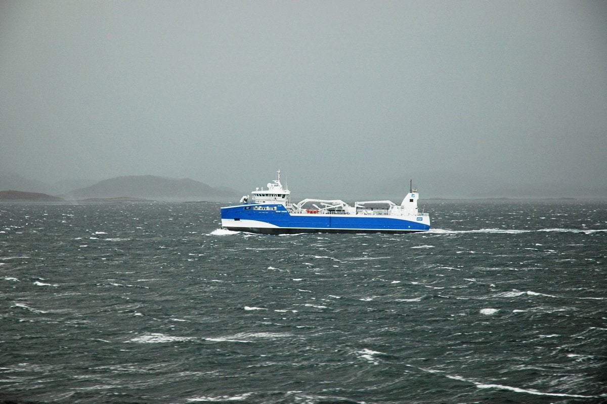Norwegian aquaculture firms fined after mass fish deaths in botched ...