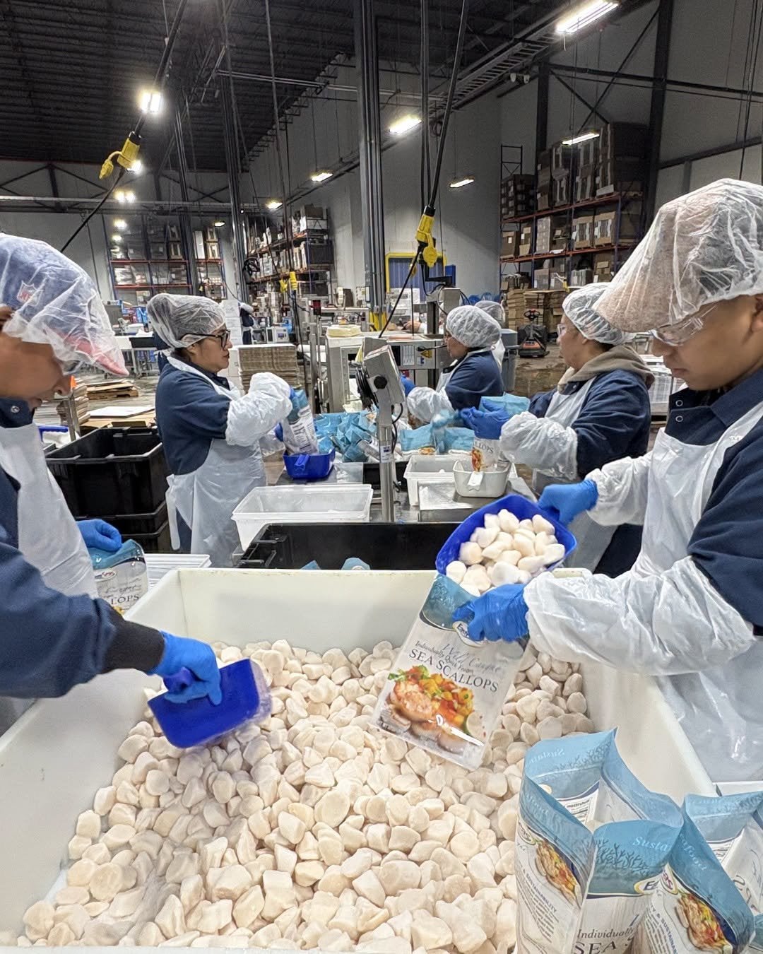 Eastern Fisheries taps new CEO