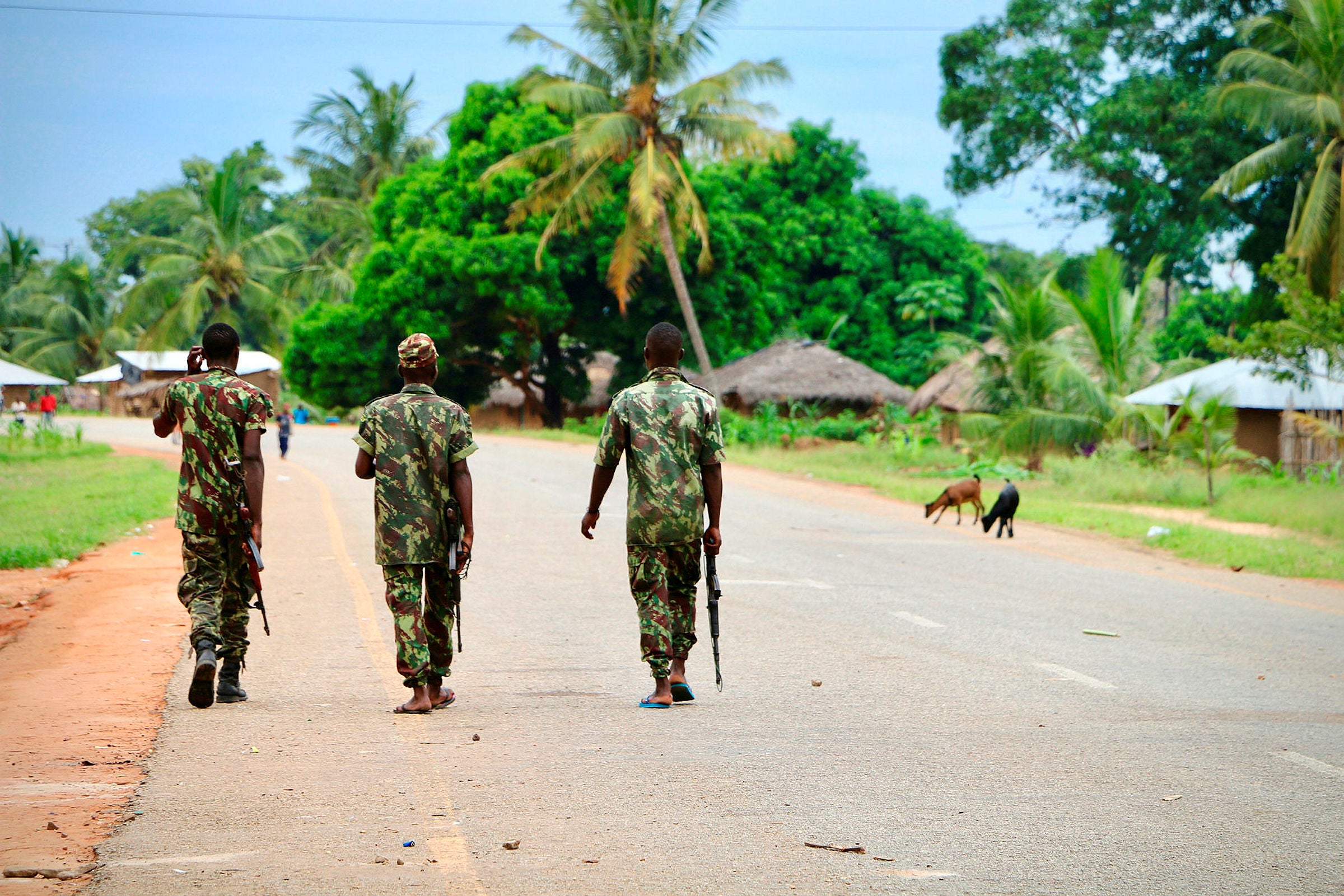 Maputo creates development agency to help stem Islamist insurgency ...