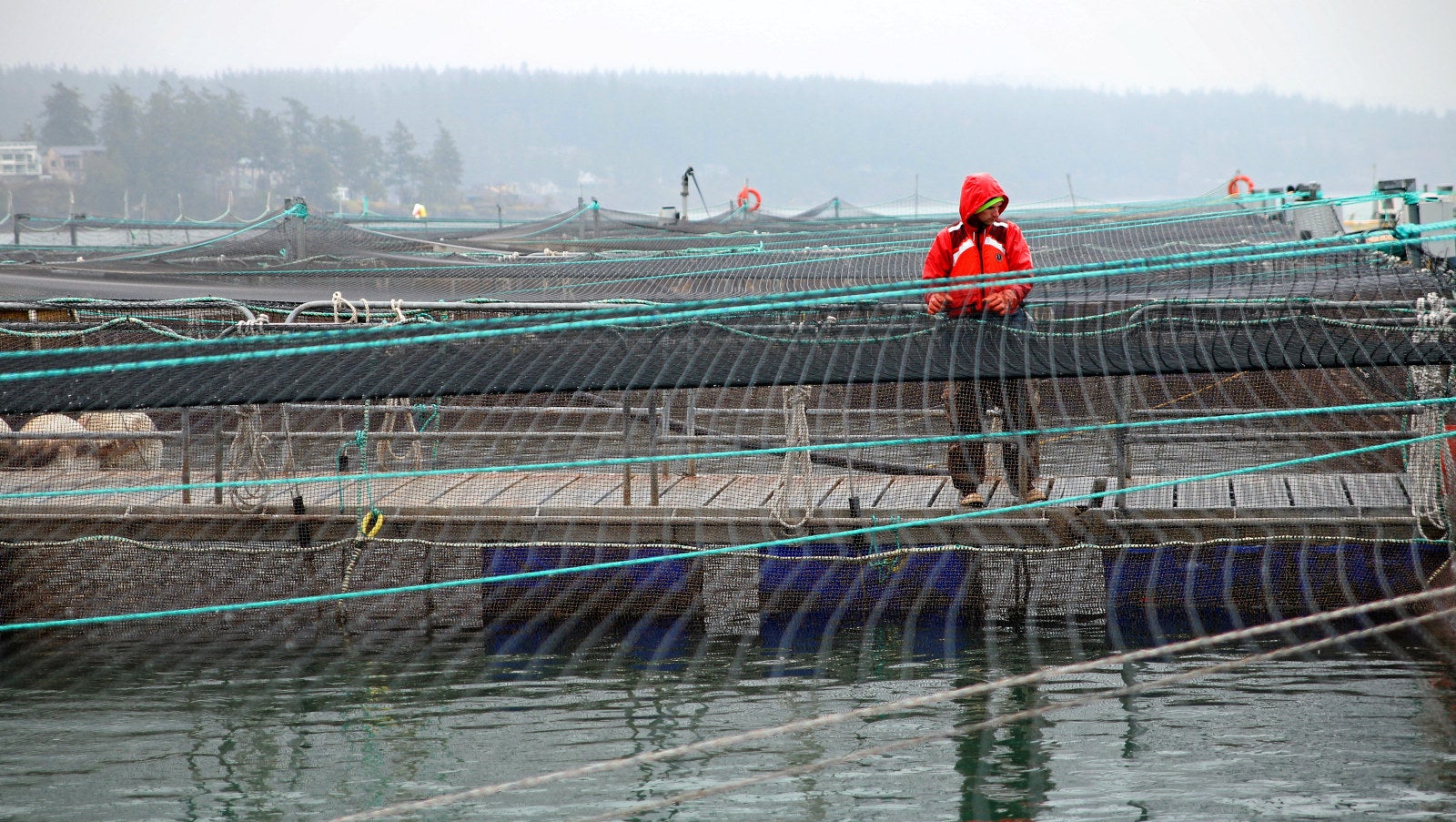 www.intrafish.com