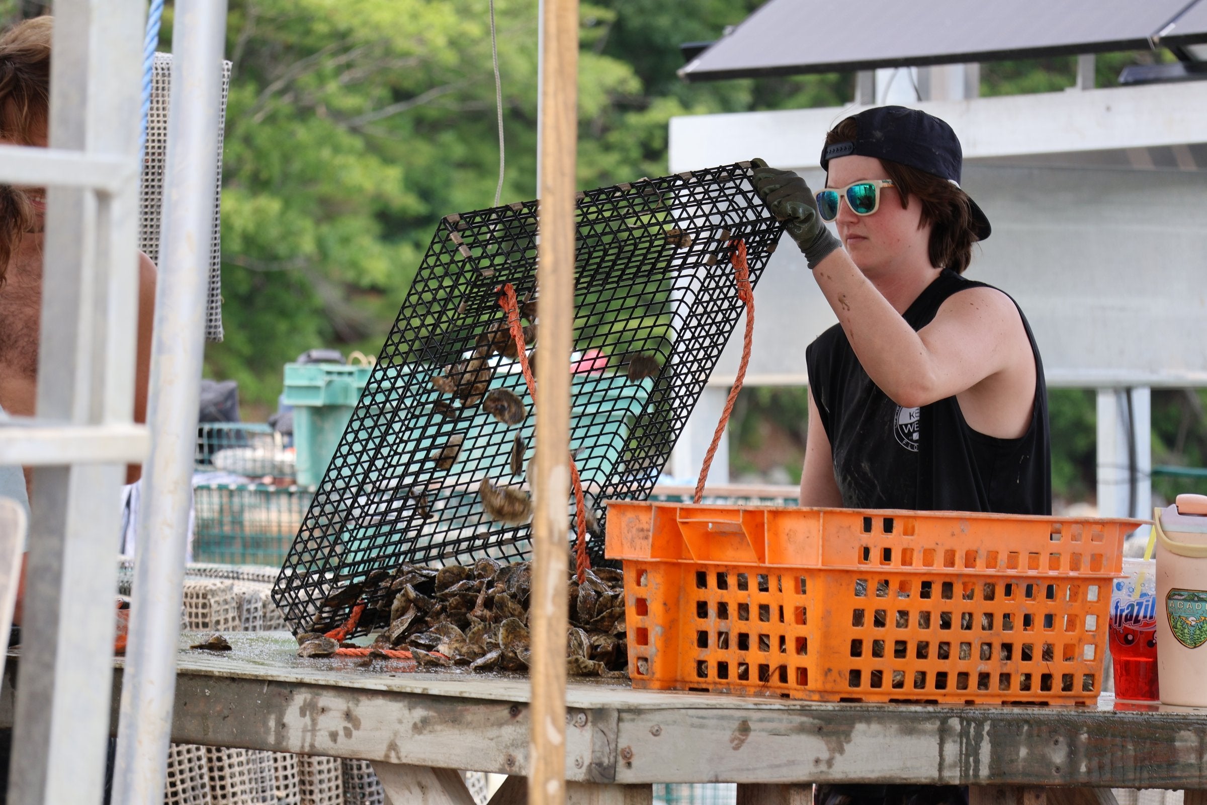 Maine makes 'long overdue' change to aid aquaculture projects