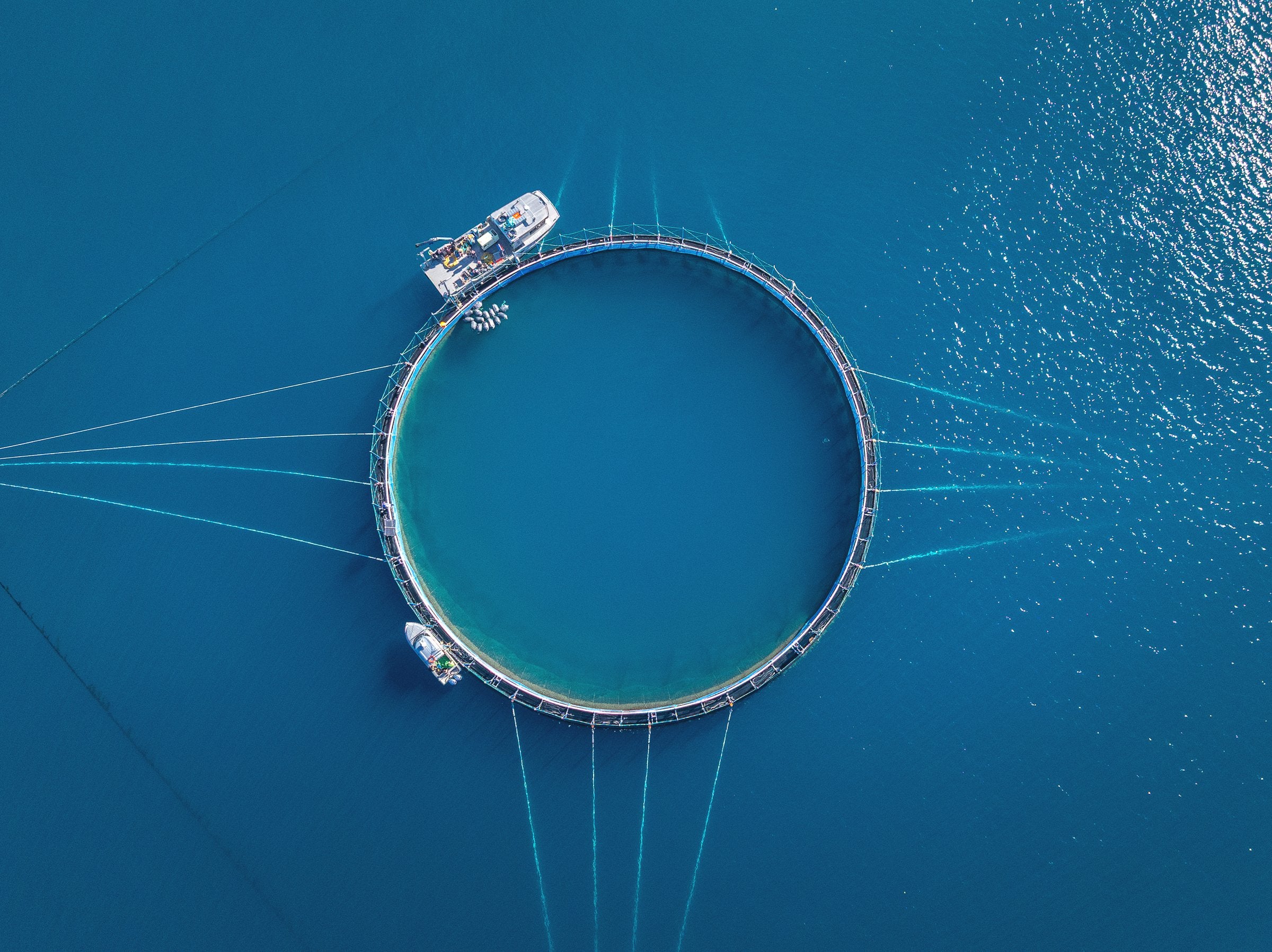 It's a world first, but behind the open ocean headlines is a quieter fix