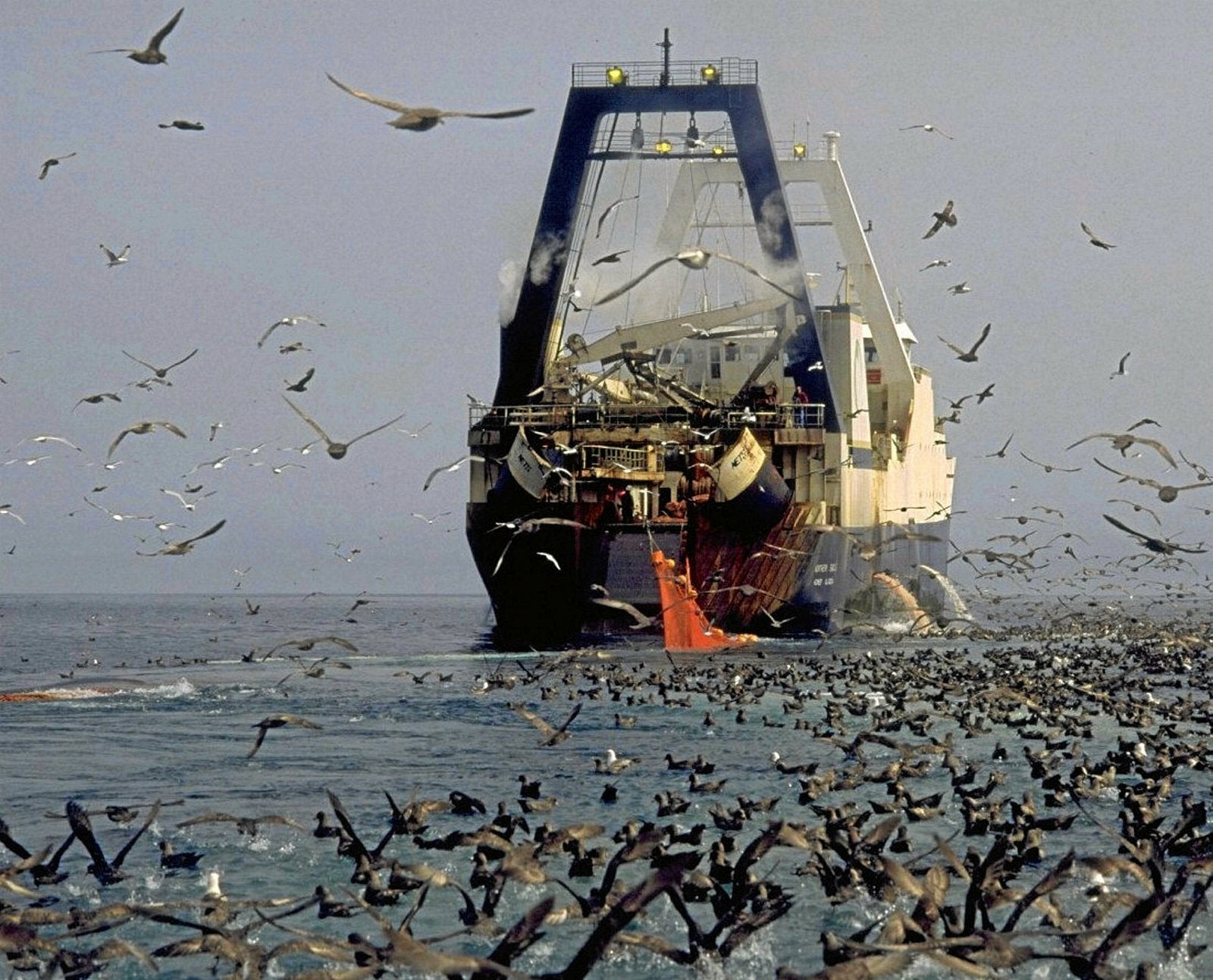 Gulf of Alaska pollock quota slashed for 2026, Bering Sea holds steady ...