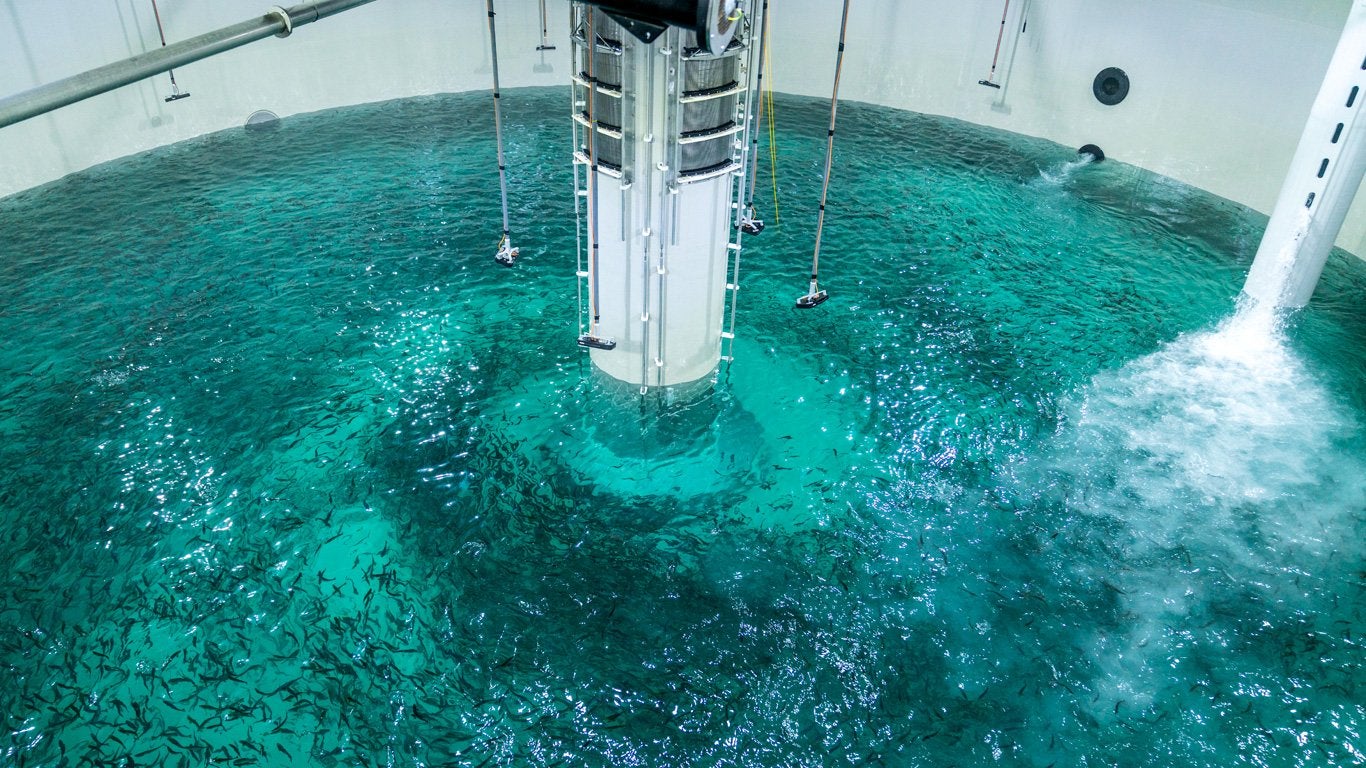 Salmon Evolution completes smolt release | Intrafish