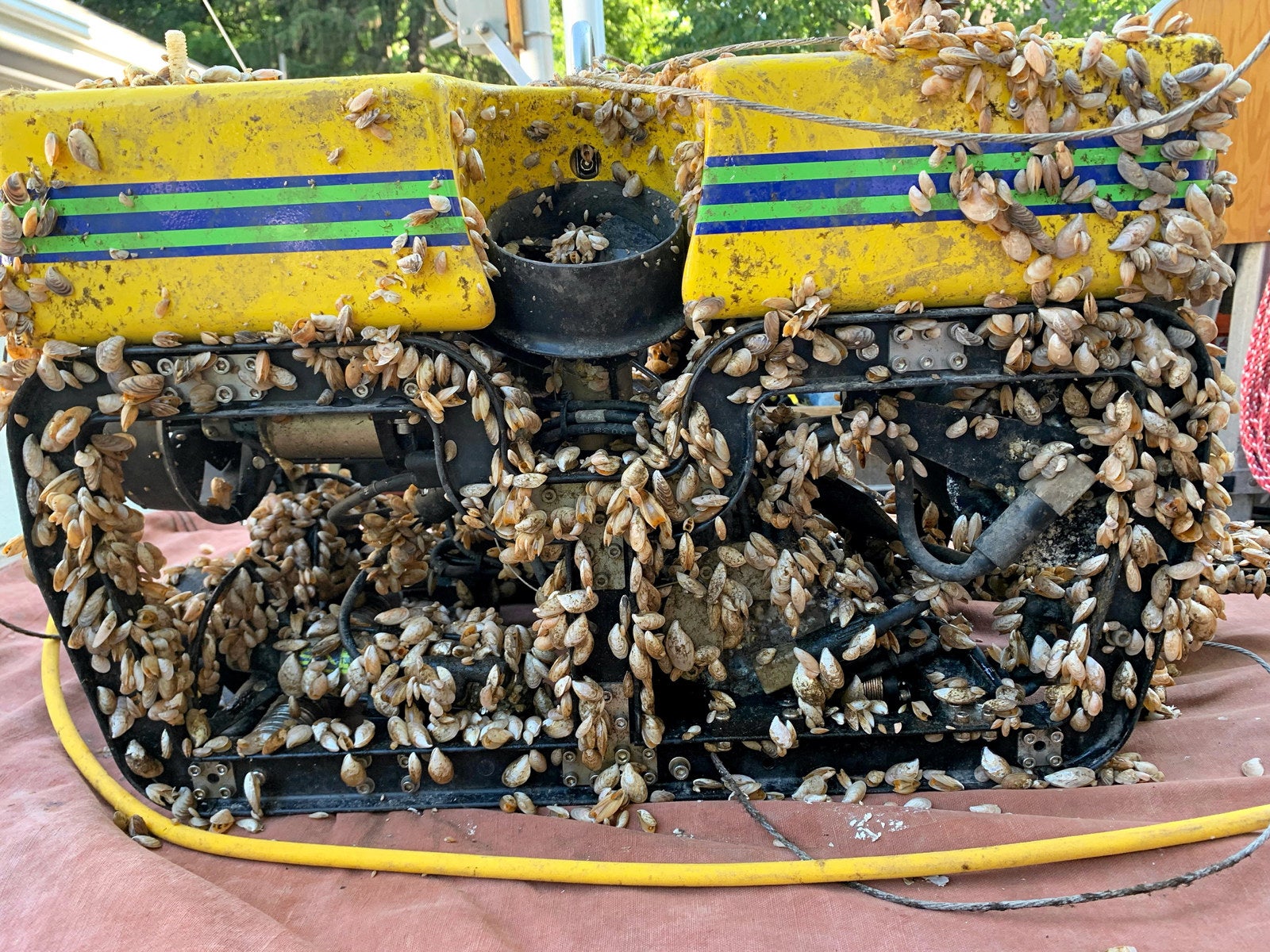 Rescued: Perseverance pays off in recovery of snagged ROV | Upstream