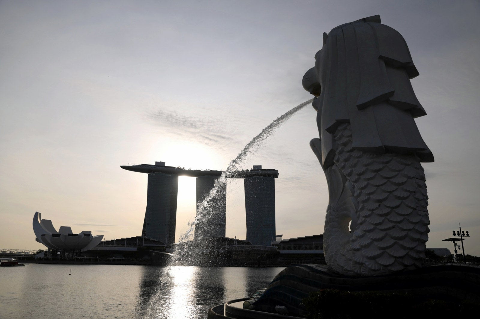 Tanker newcomer Singfar inks aframax debut with LNG dual-fuel newbuildings