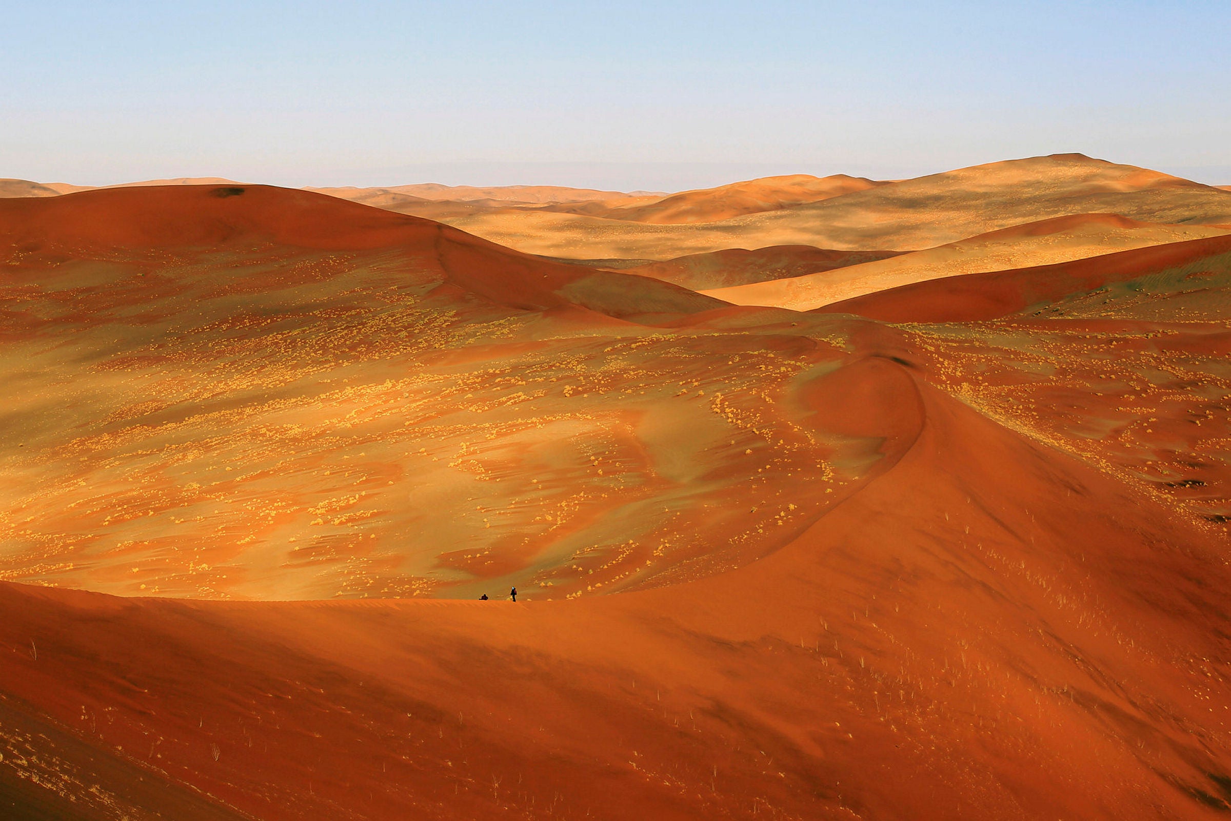 ReconAfrica targets onshore Namibia wells | Upstream