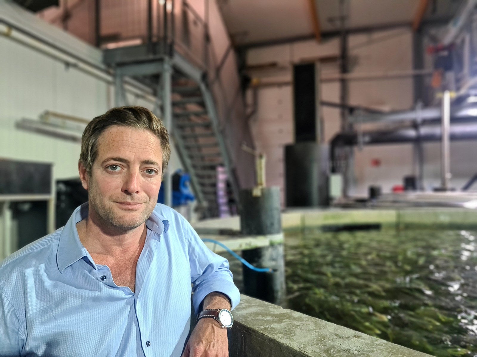 Kingfish company founder joins board of aquaculture AI group | Intrafish