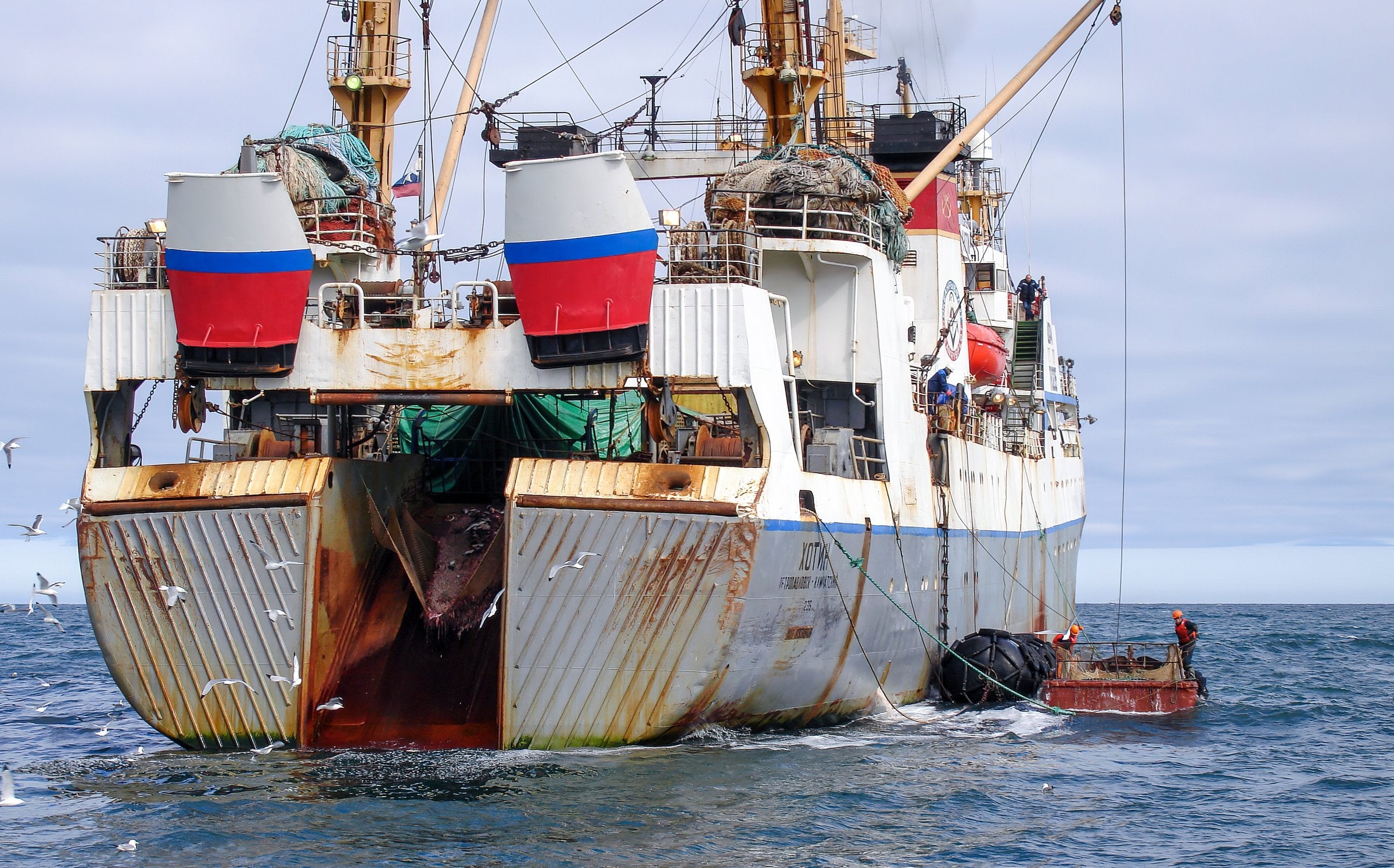 Norway seafood body labels EU proposal 'unreasonable'