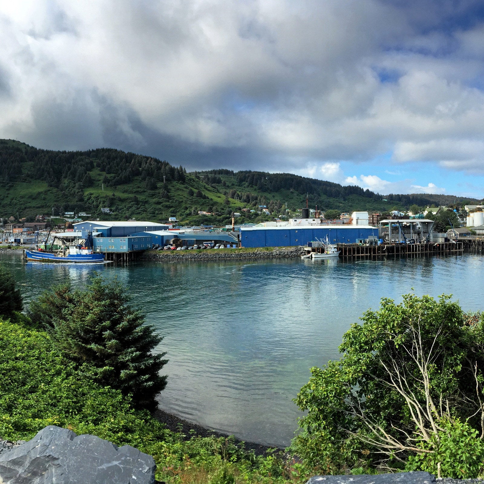 Pacific Seafood closes deal, acquires Trident's Kodiak plant | Intrafish
