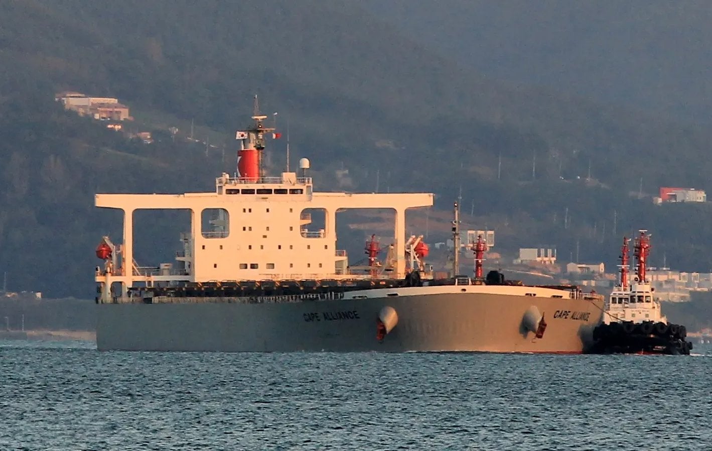 Winning Shipping swoops on bulker in first newcastlemax move for the year