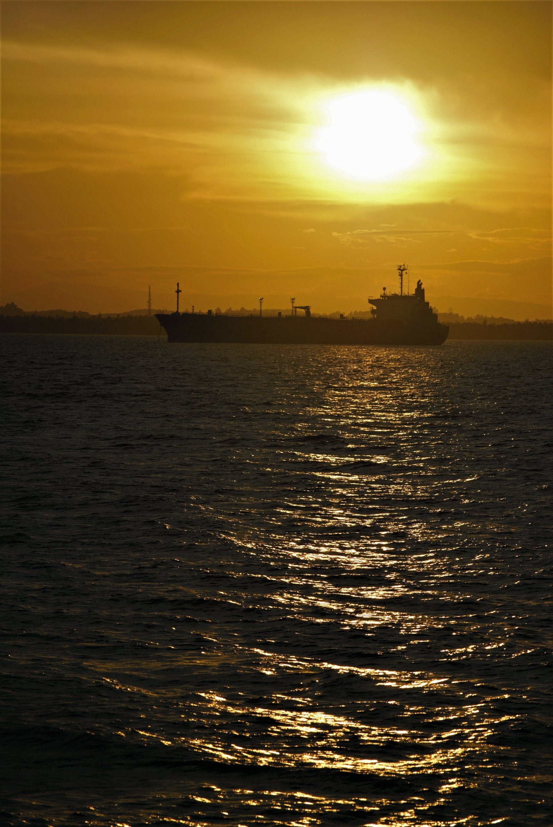 Russian insurer emerges from shadows to keep sanctioned ships moving
