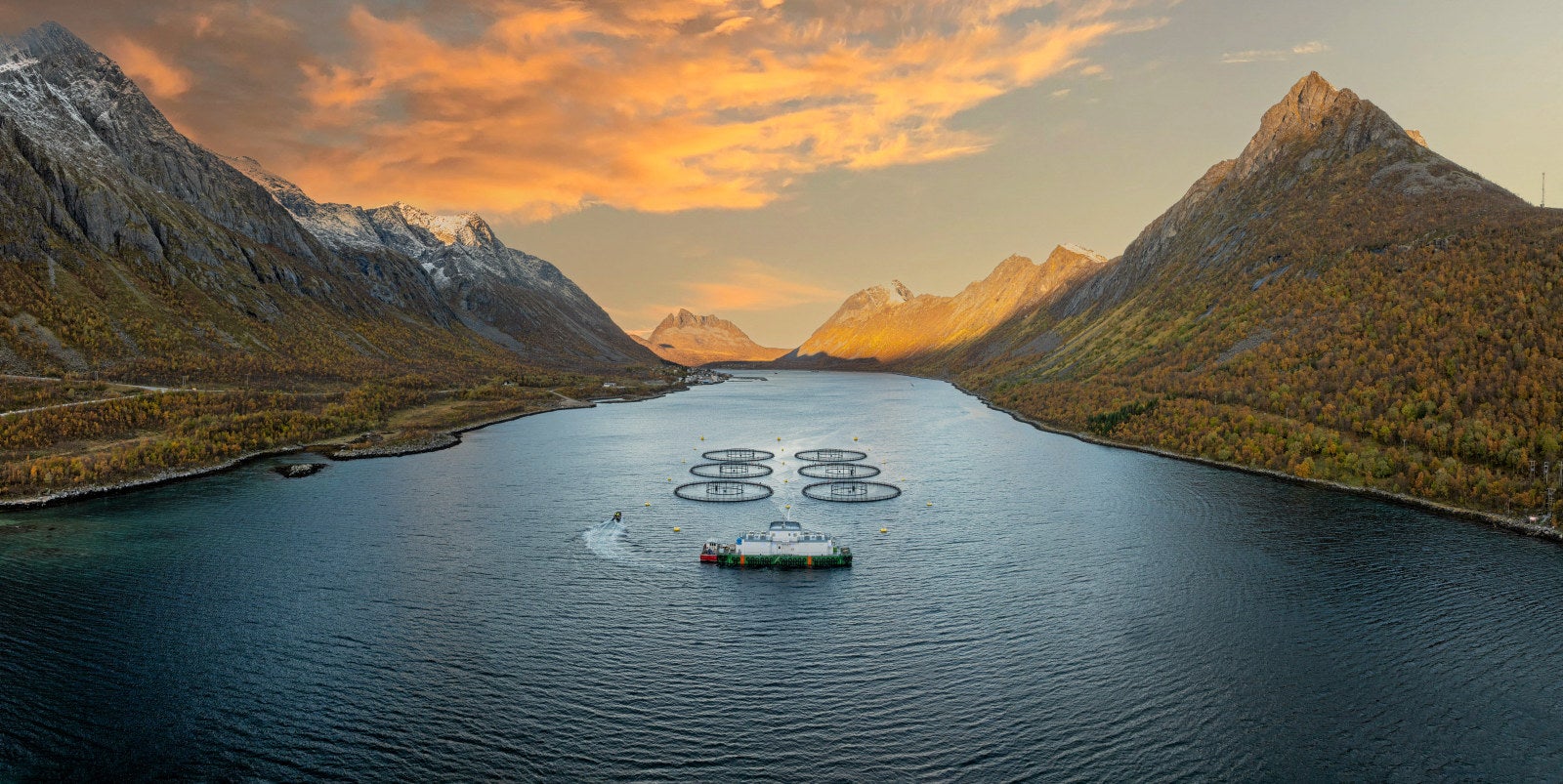 Ocean-focused private equity fund partners with Norwegian cod farmer ...