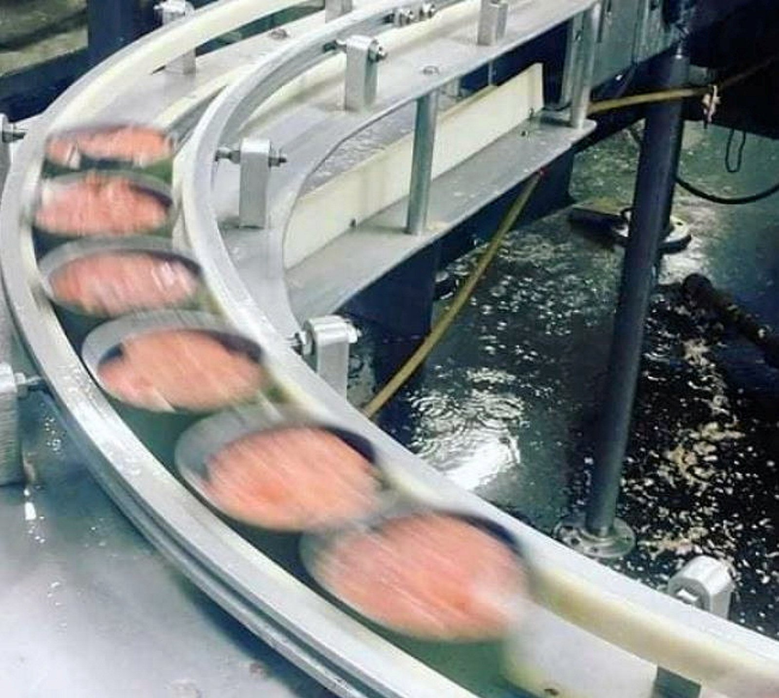 OBI Seafoods wins majority of USDA salmon contract | Intrafish