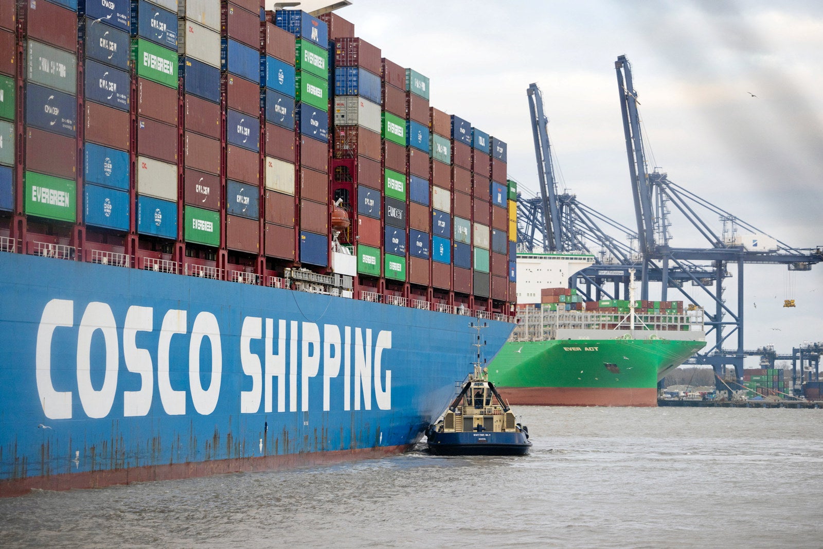 Container ship players eye $7.5bn push for 50 newbuildings