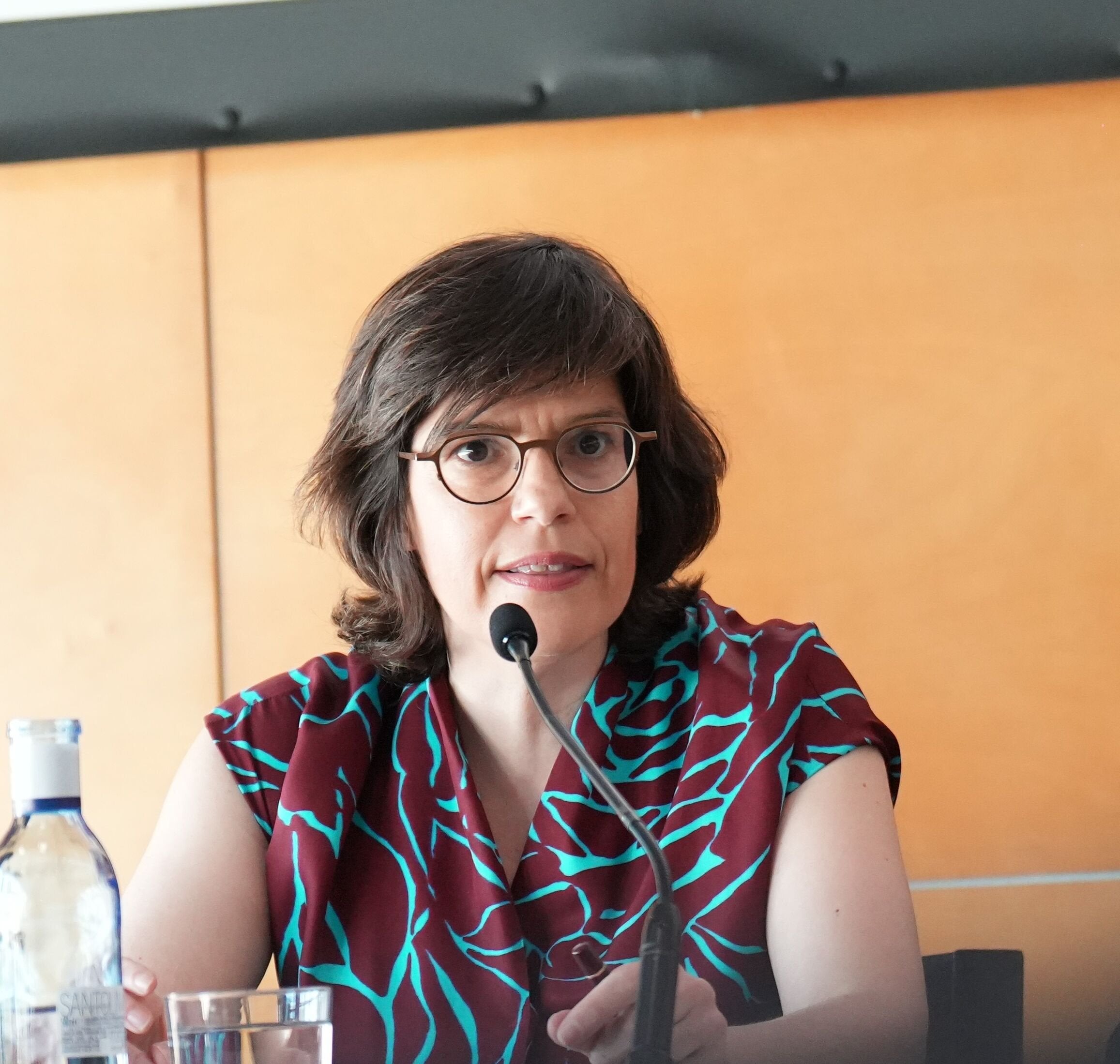 Accelerate buildout and back PPAs if you want cheaper renewable electricity, wind chief says