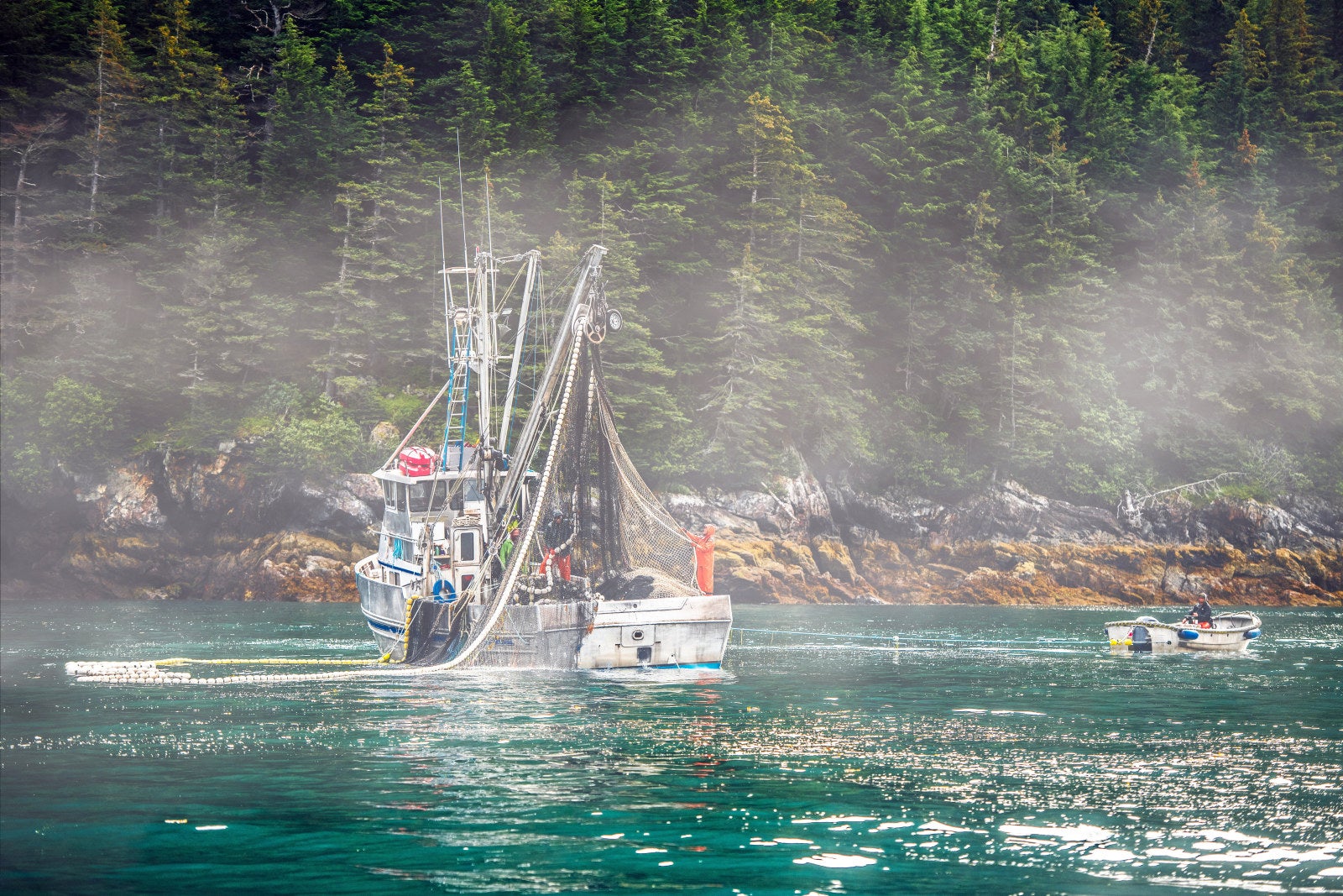Alaska's RFM eco-label expanding globally through new certification ...