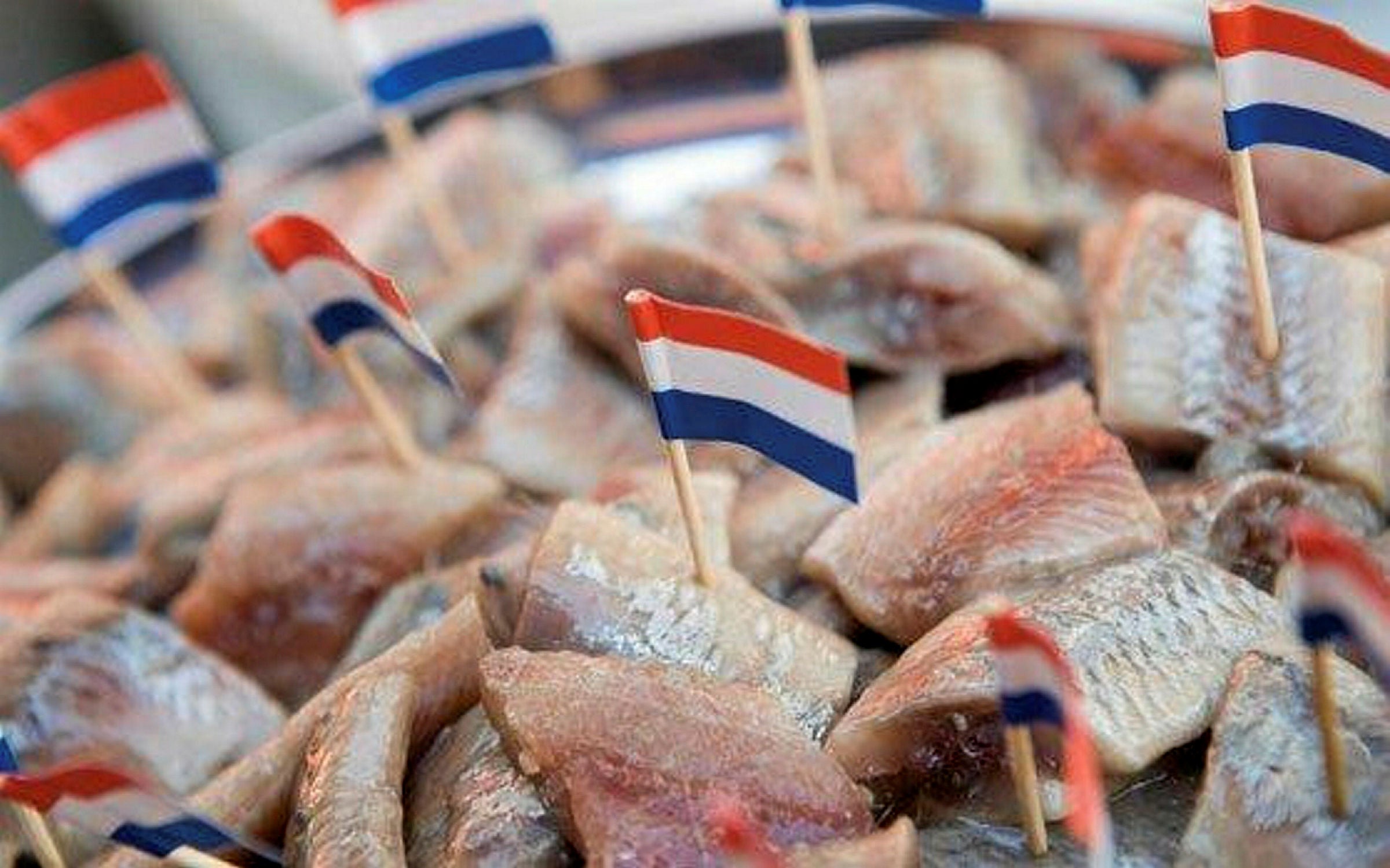 Dutch seafood exports to China expected to resume this week