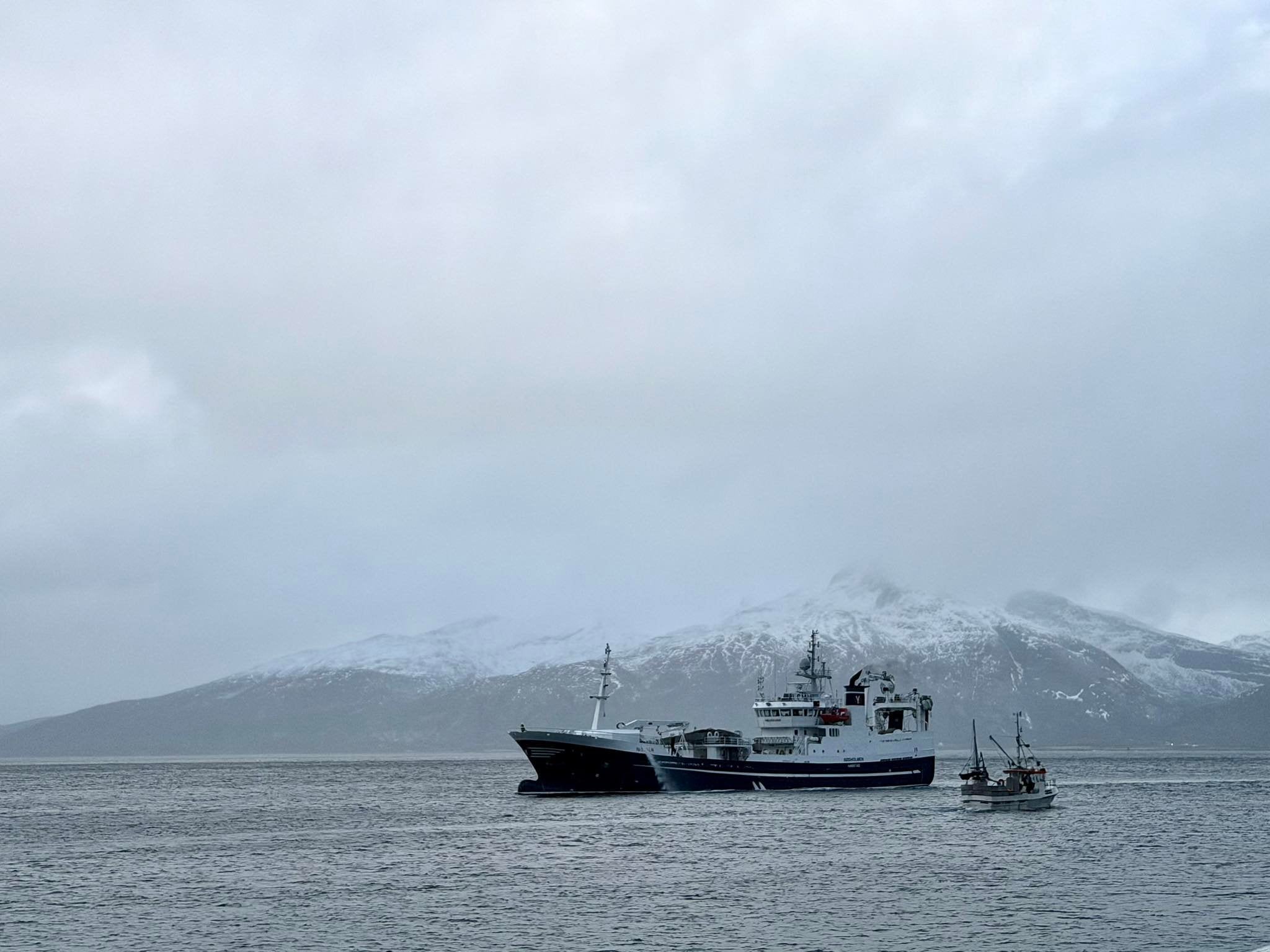 Måtte avbryte kolmulefiske for å reparere båten | Fiskeribladet