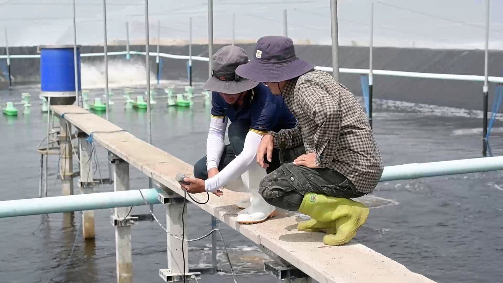 CP Foods drives down water usage on its shrimp farms with new strategy ...