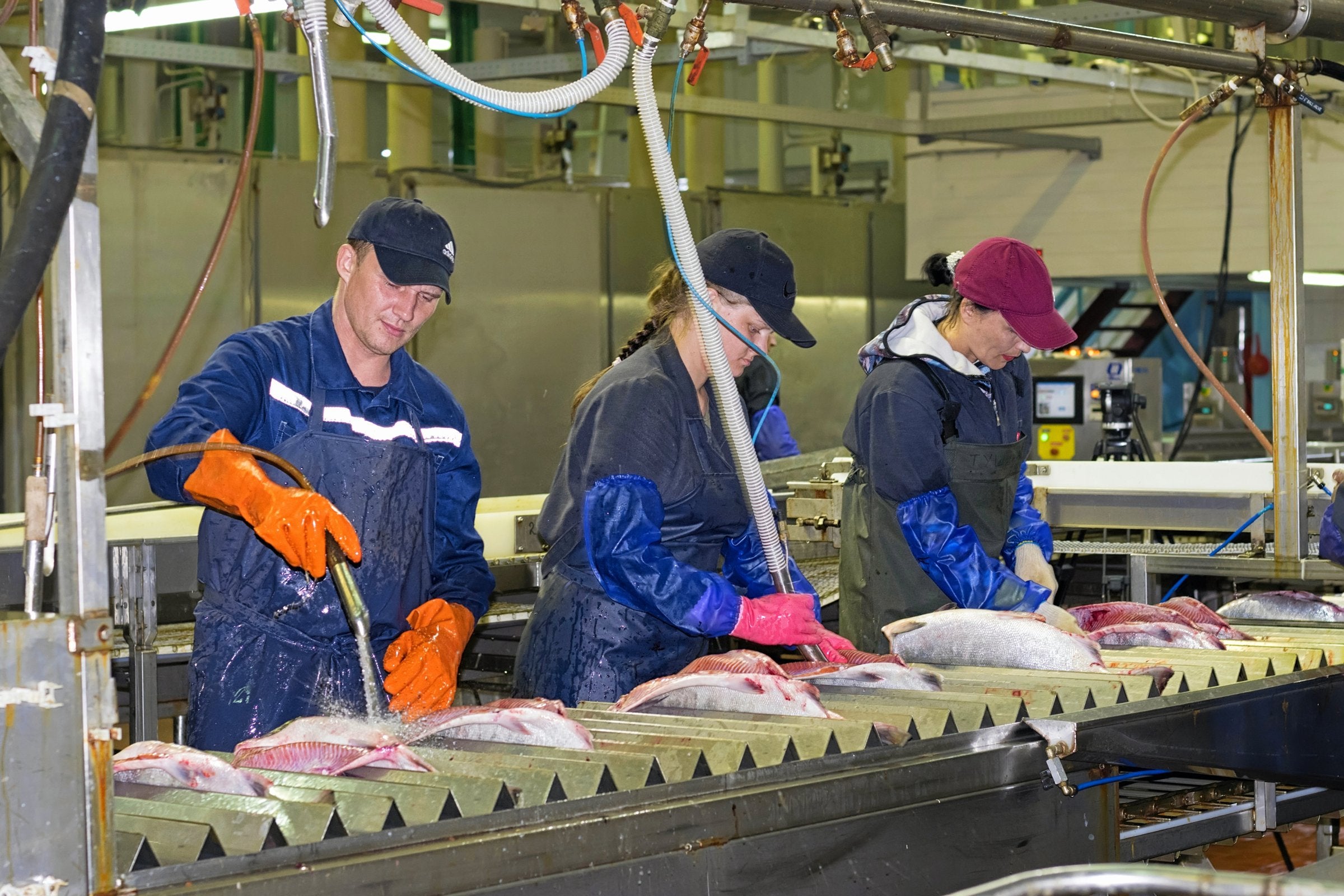 Russia hits record high seafood export to China, says new data