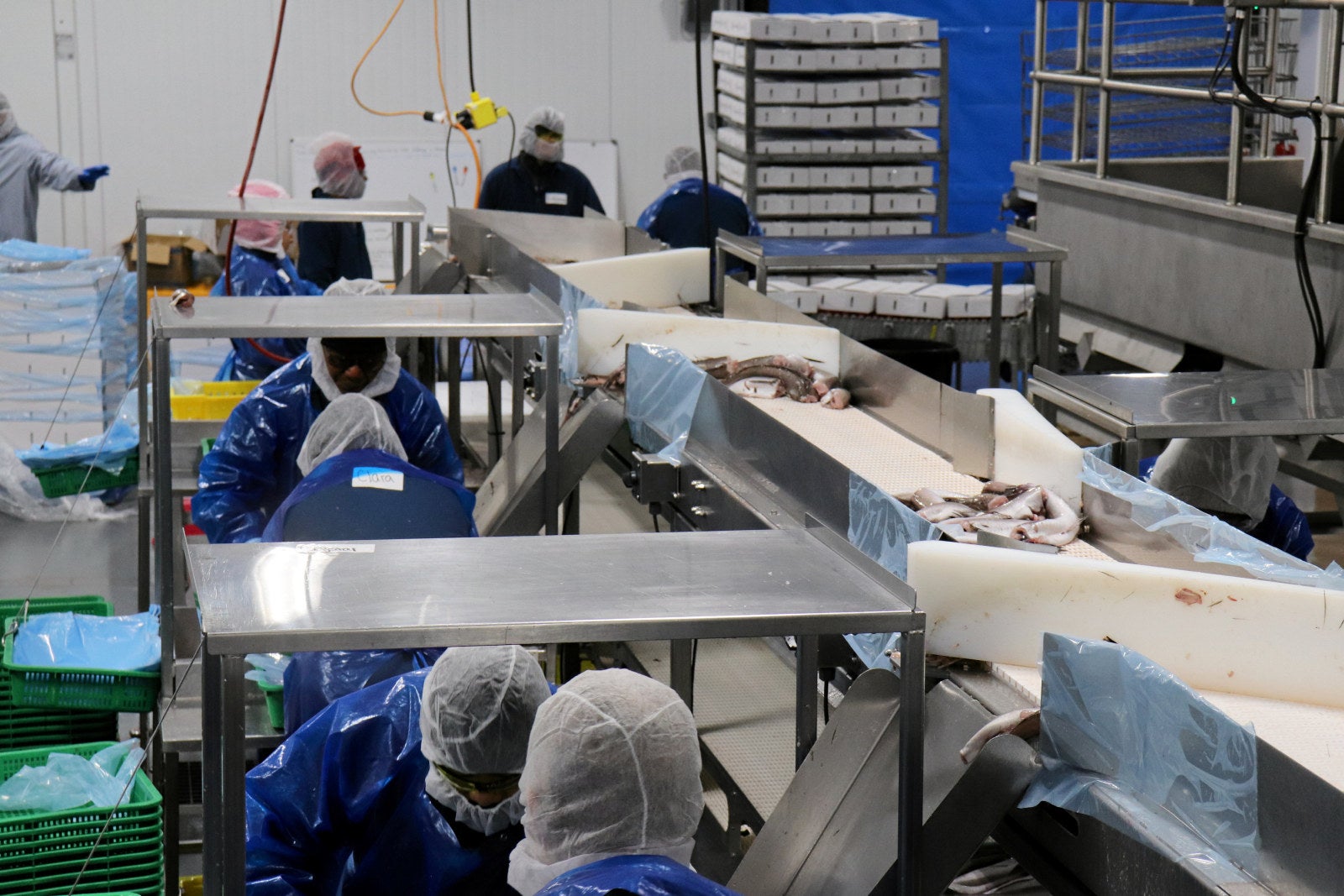 Pacific Seafood is big winner in $31 million USDA groundfish contract ...