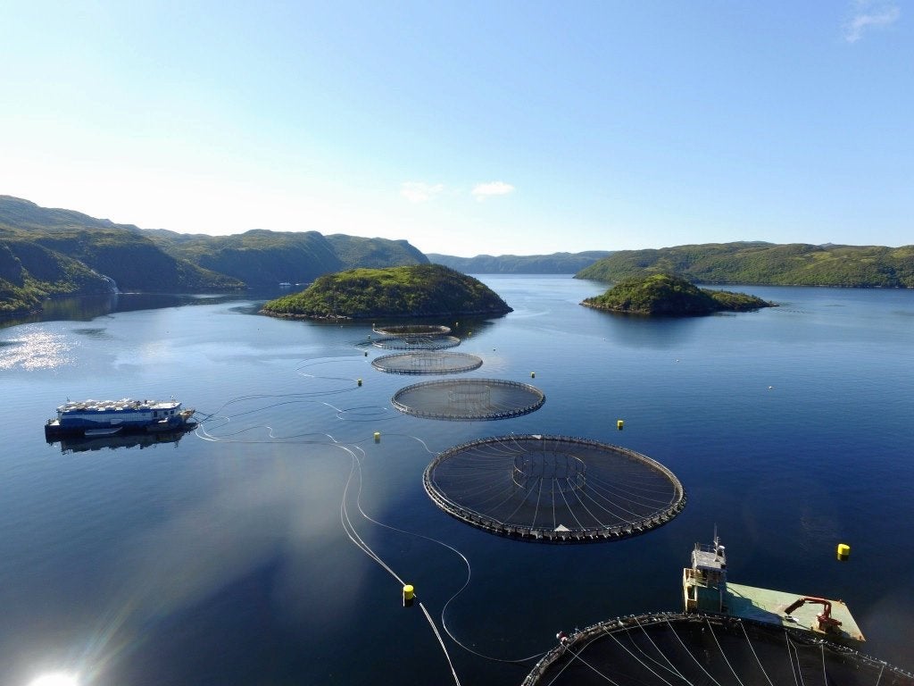 Nova Fish dispute reaches Supreme Court