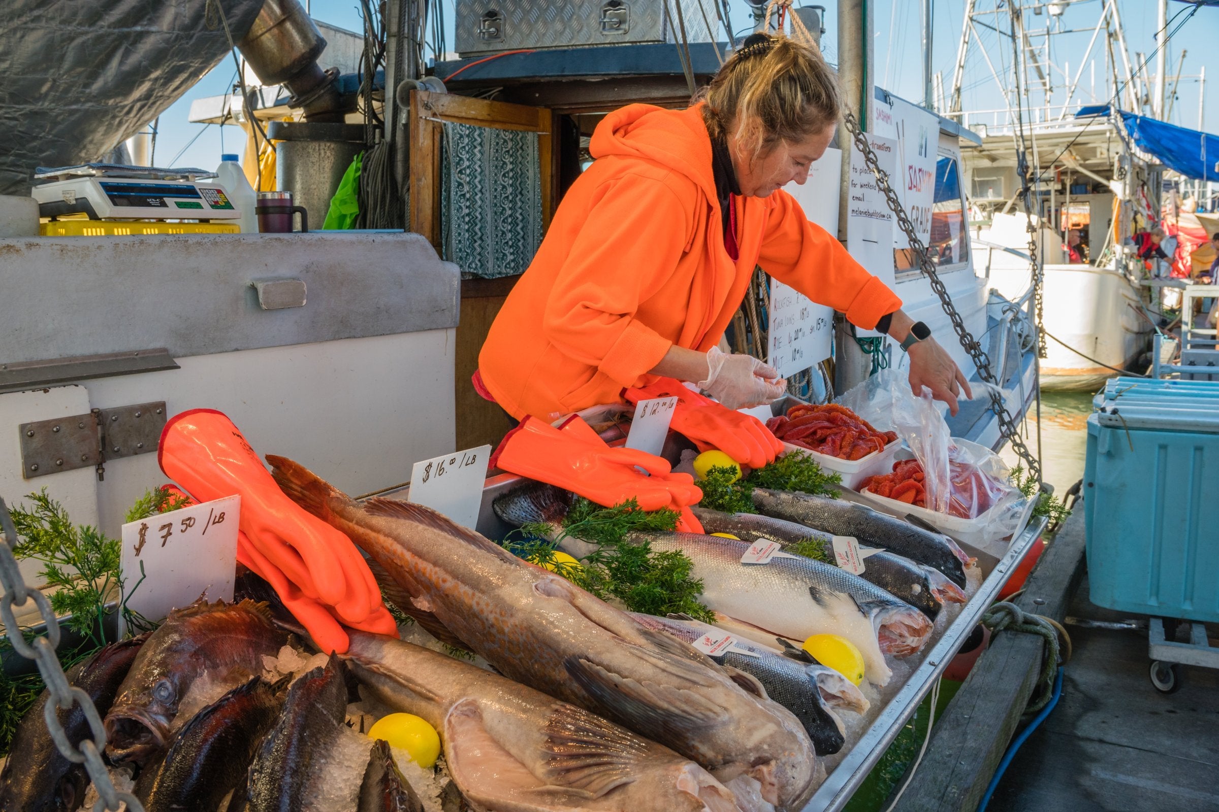 British Columbia forms task force to boost food sector amid US trade ...