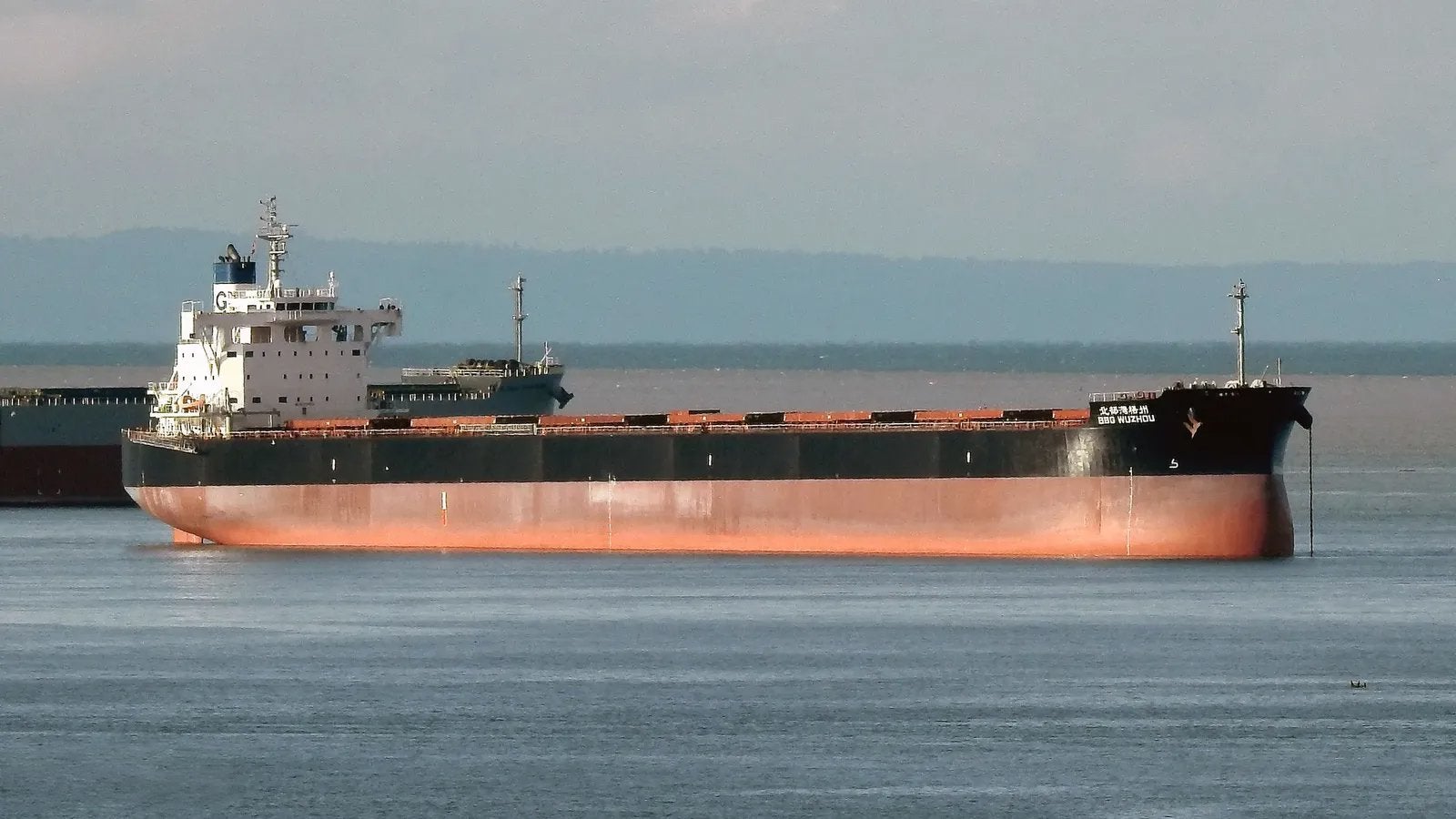 Chinese-owned bulk carrier sells at auction after attracting only a single bid