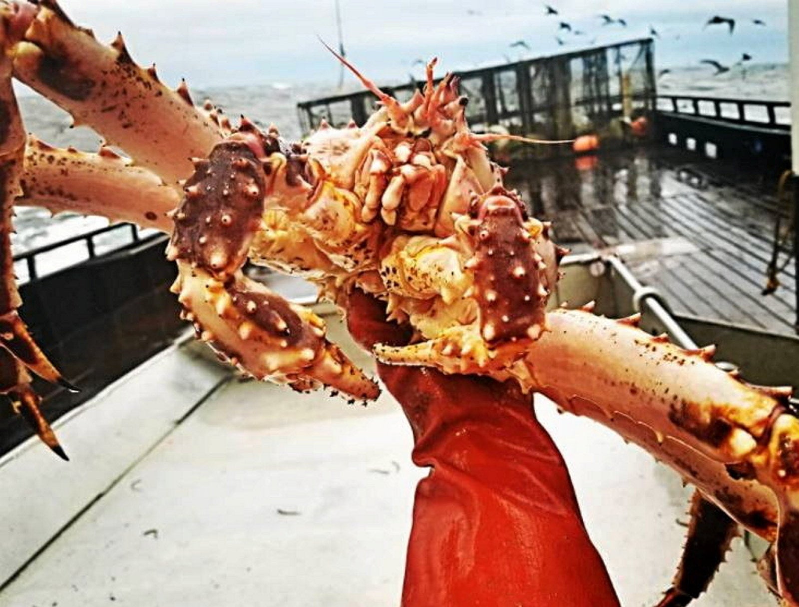 Update: US government omnibus bill includes $300 million to help Alaska ...