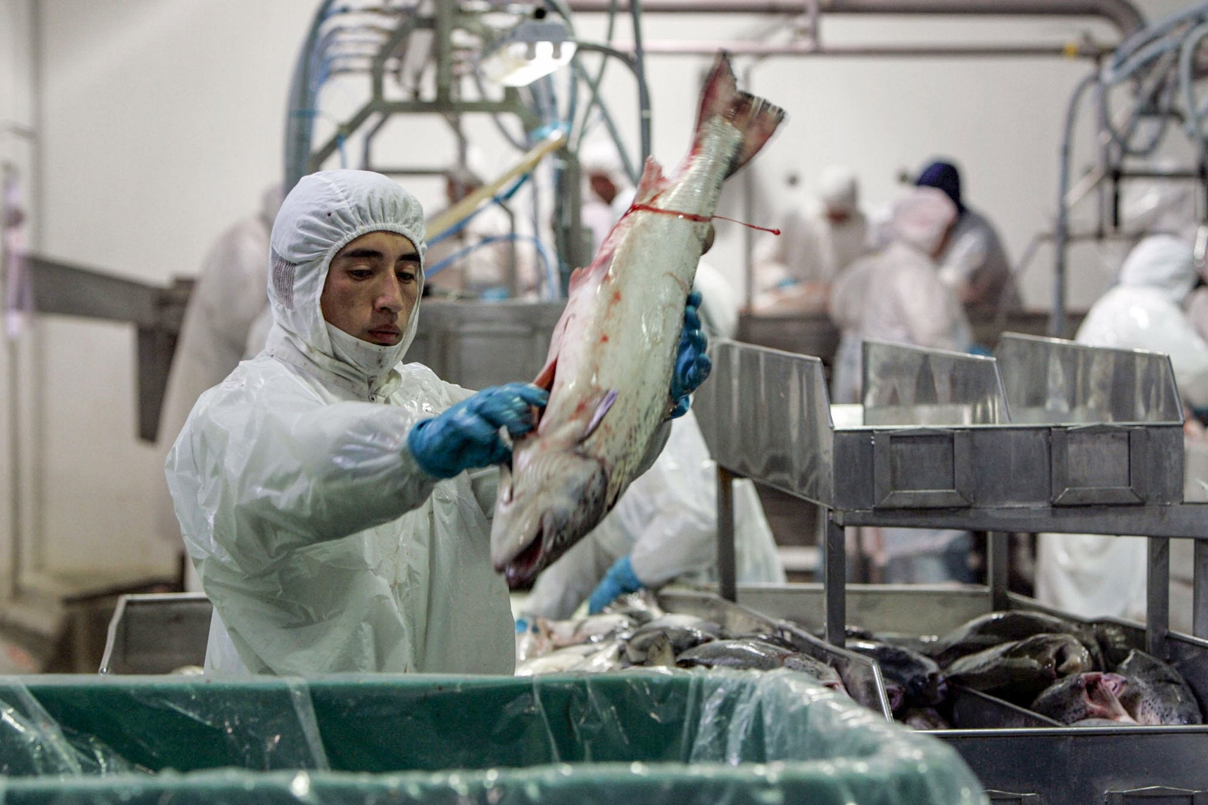 What seafood companies weighed in on Section 301 tariffs?
