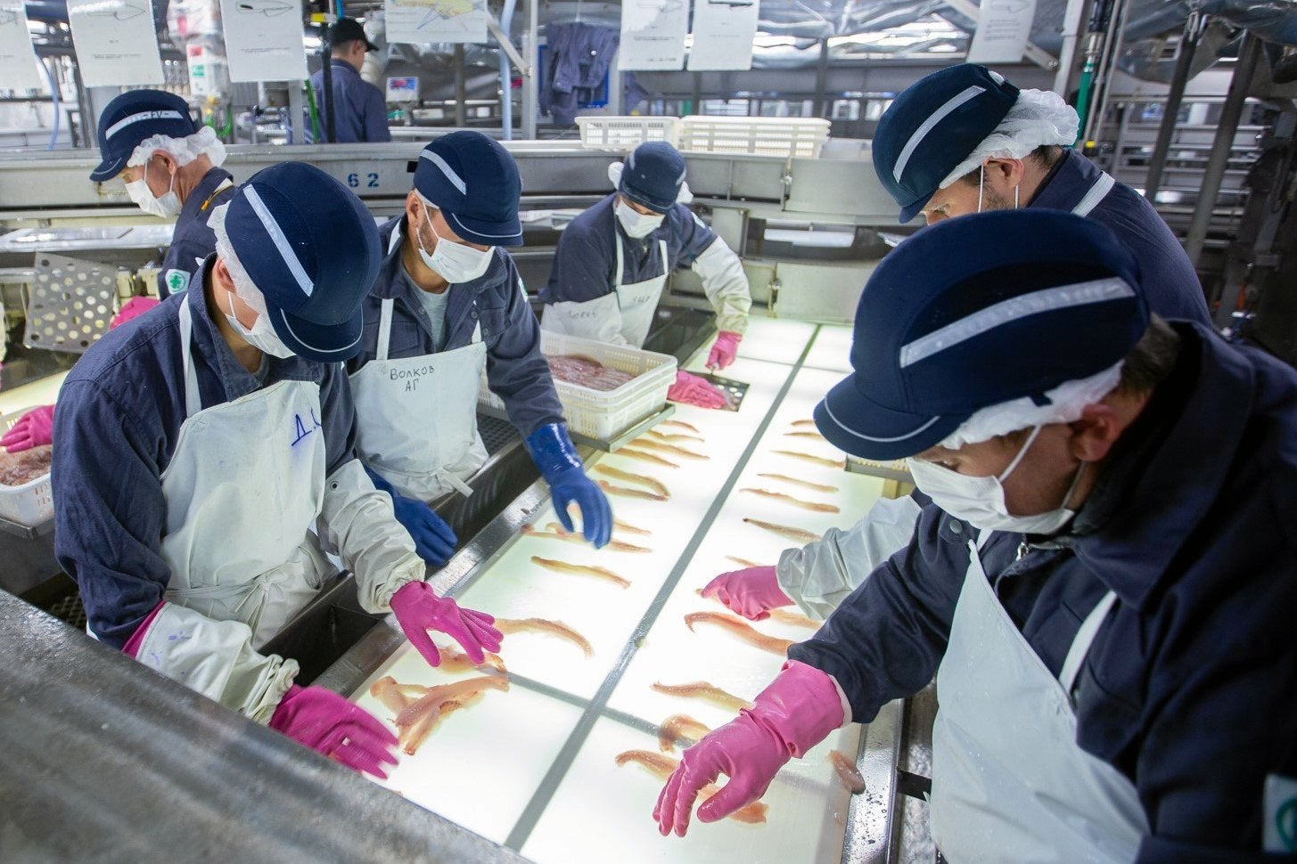 Russia gains ground on US in pollock trade across Asia, Europe