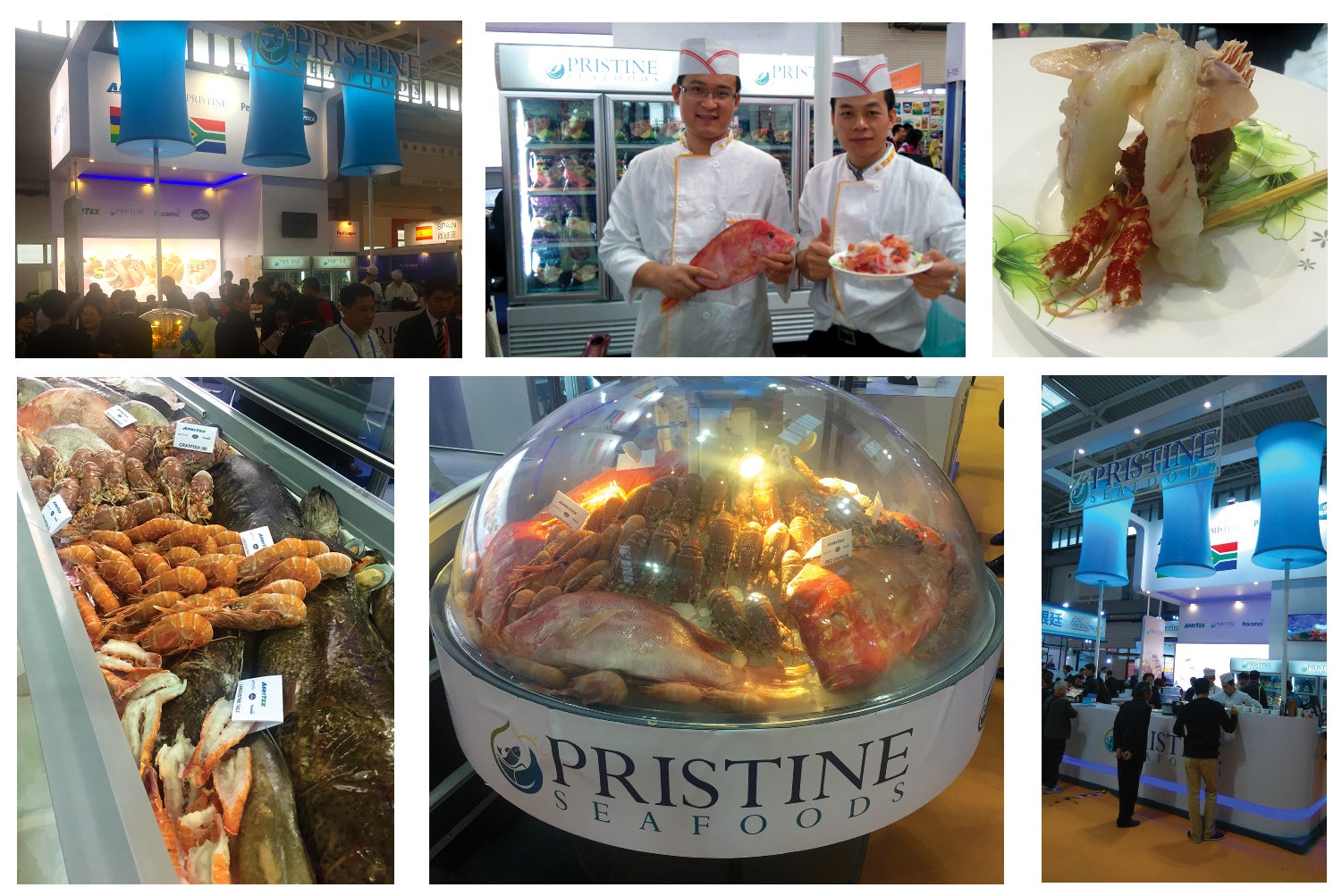 Can former Oceanfresh CEO find success with ambitious new venture ...