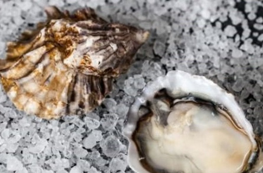 Environmental group moves forward with Pacific Seafood hatchery lawsuit