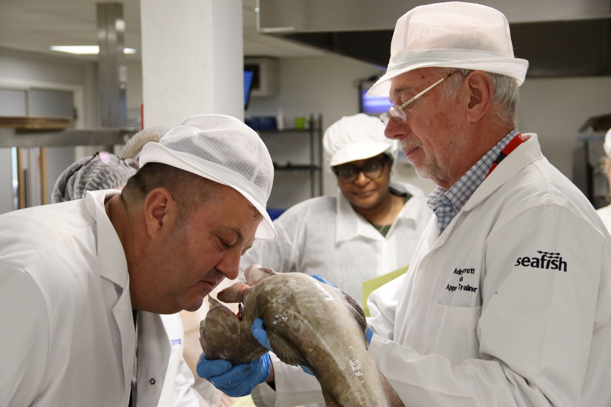 Seafish secures funds to expand UK seafood workforce training