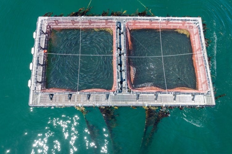 NOAA launches 'first-of-its kind' institute to grow aquaculture
