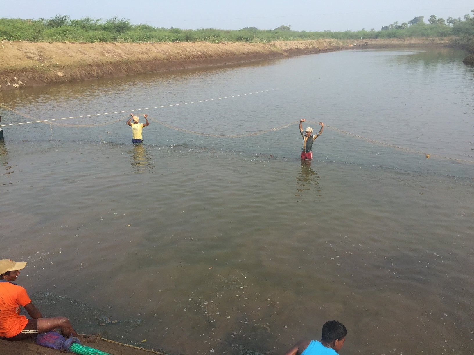 Odisha gov't to provide 50% subsidy to fish farmers