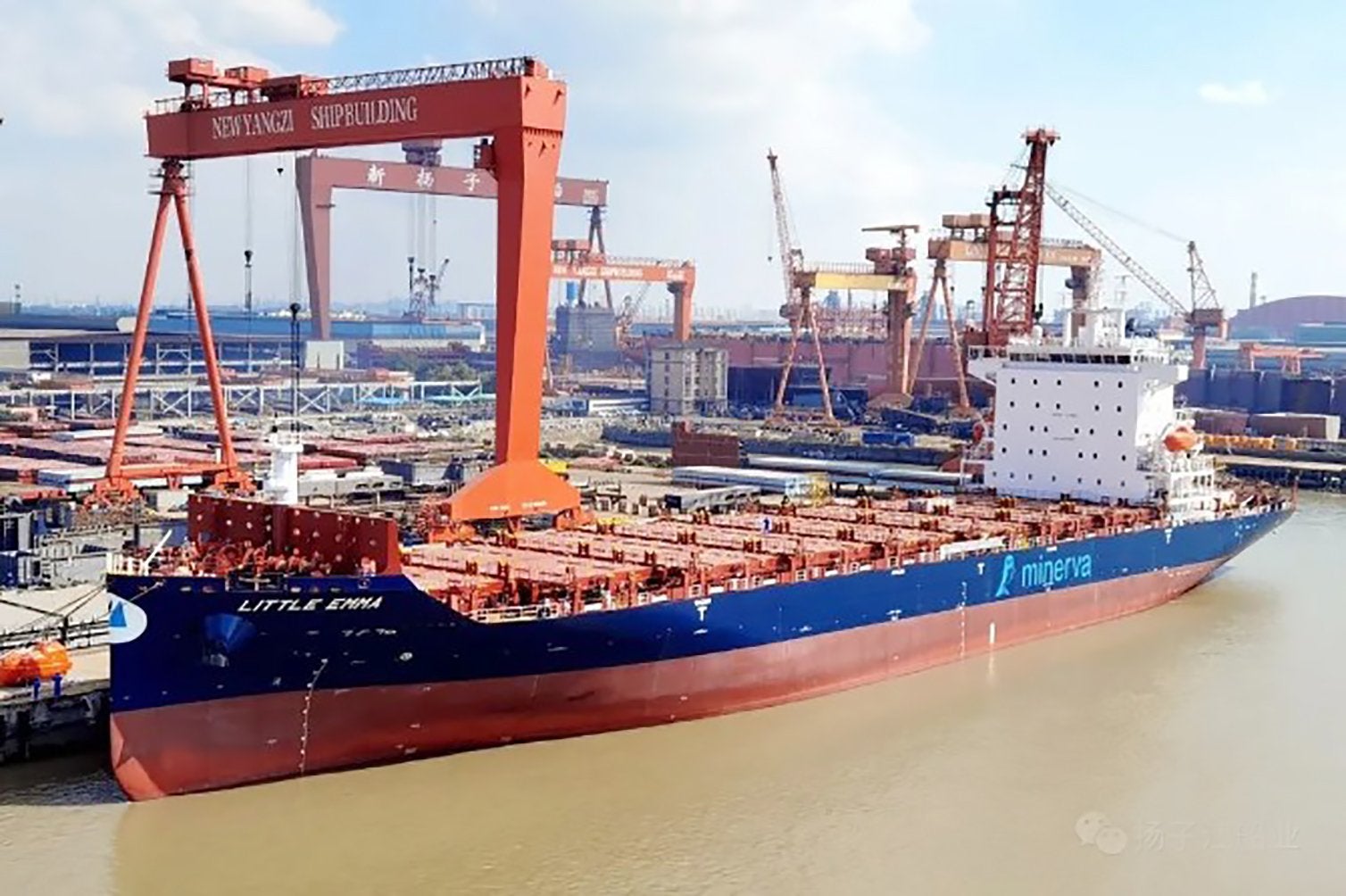 Minerva Marine joins feeder ordering frenzy with up to eight newbuildings