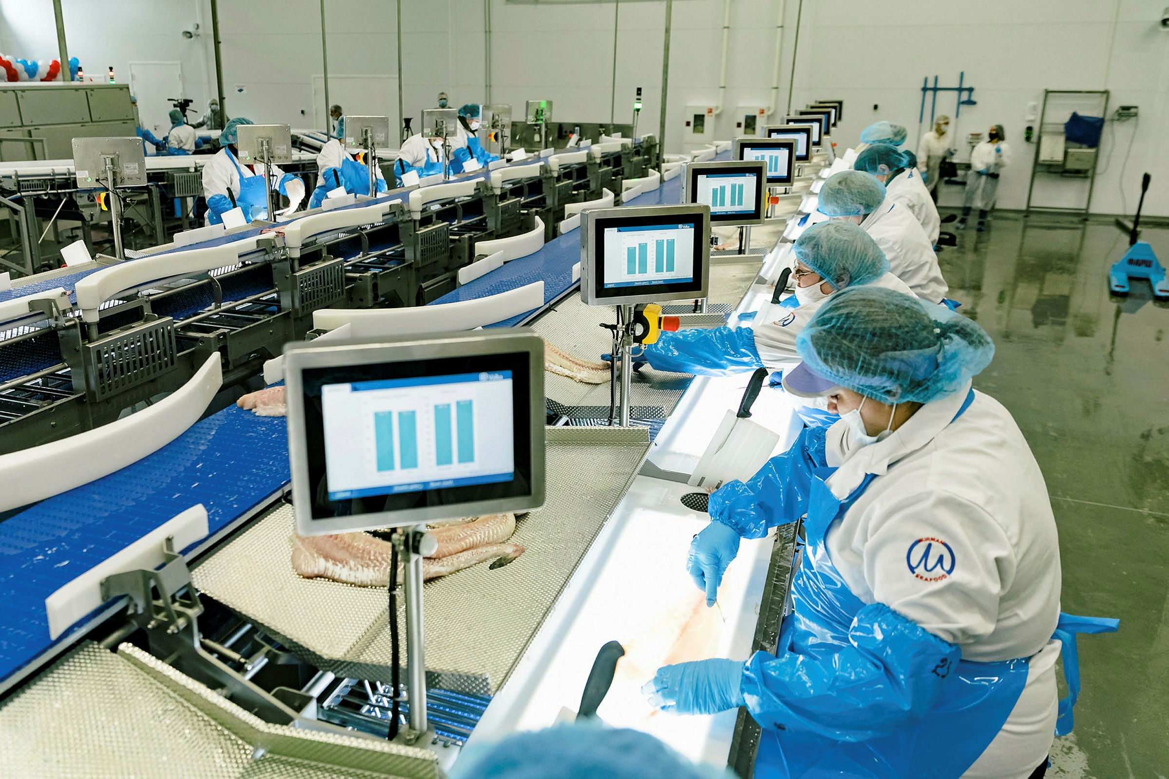 Russia's Murman Seafood starts off cod, haddock processing facility ...