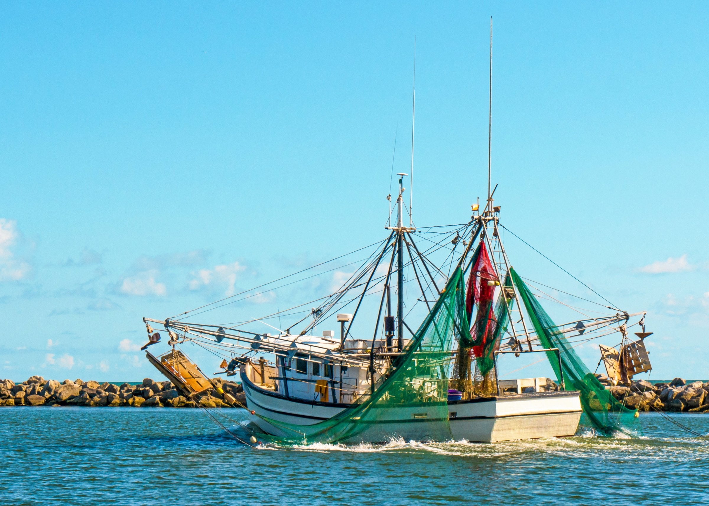 US government bid seeks shrimp for programs