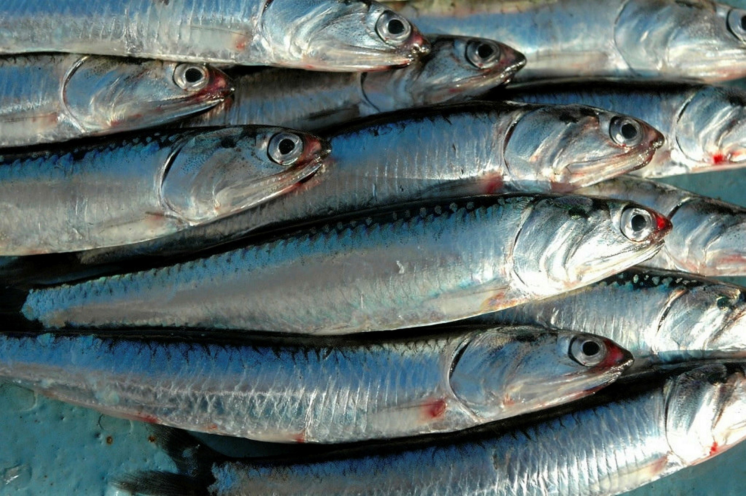 US trustee is trying to gain more control of former major seafood ...