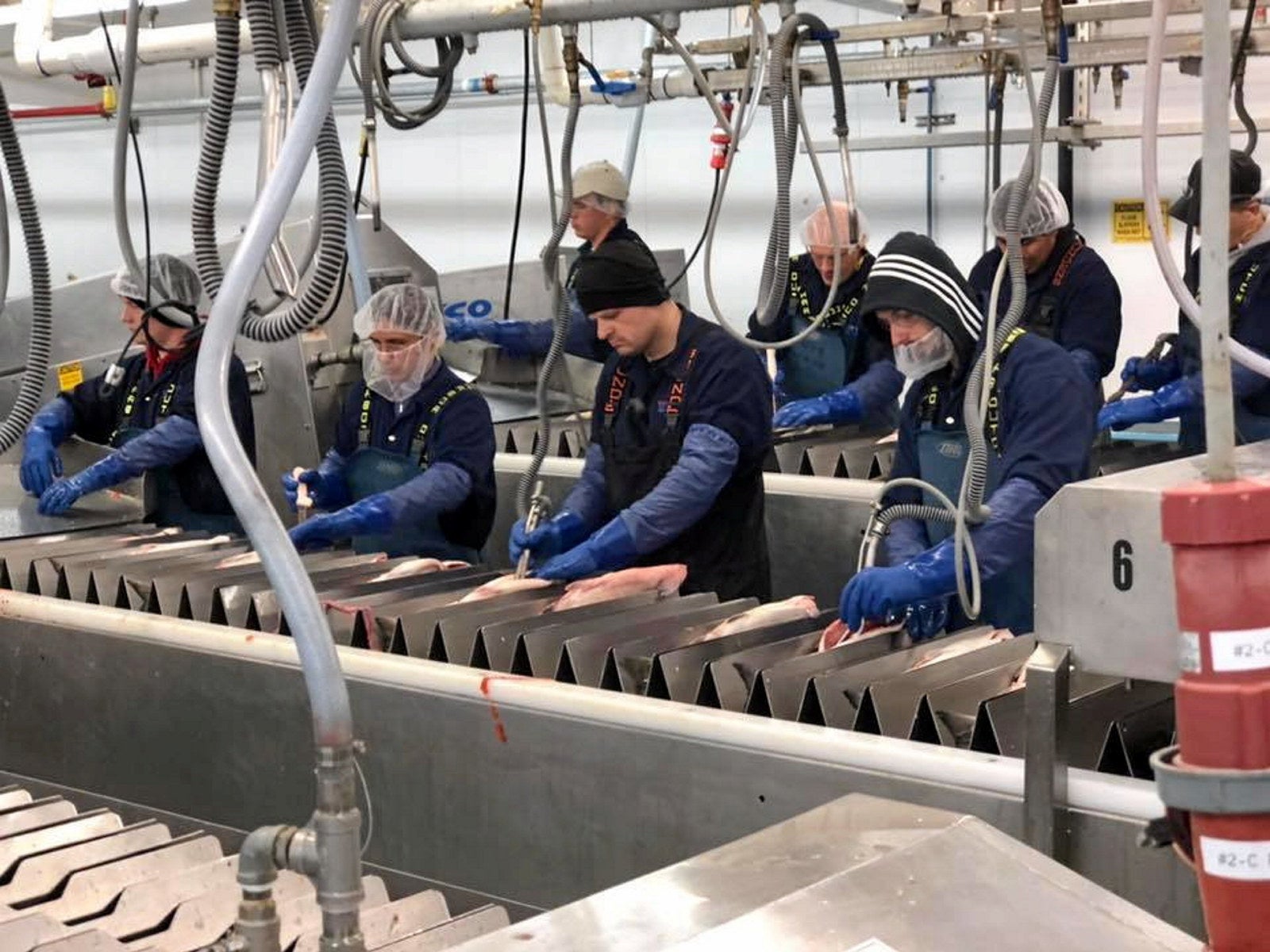 Fully vaccinated OBI Seafoods worker tests COVID positive ahead of ...